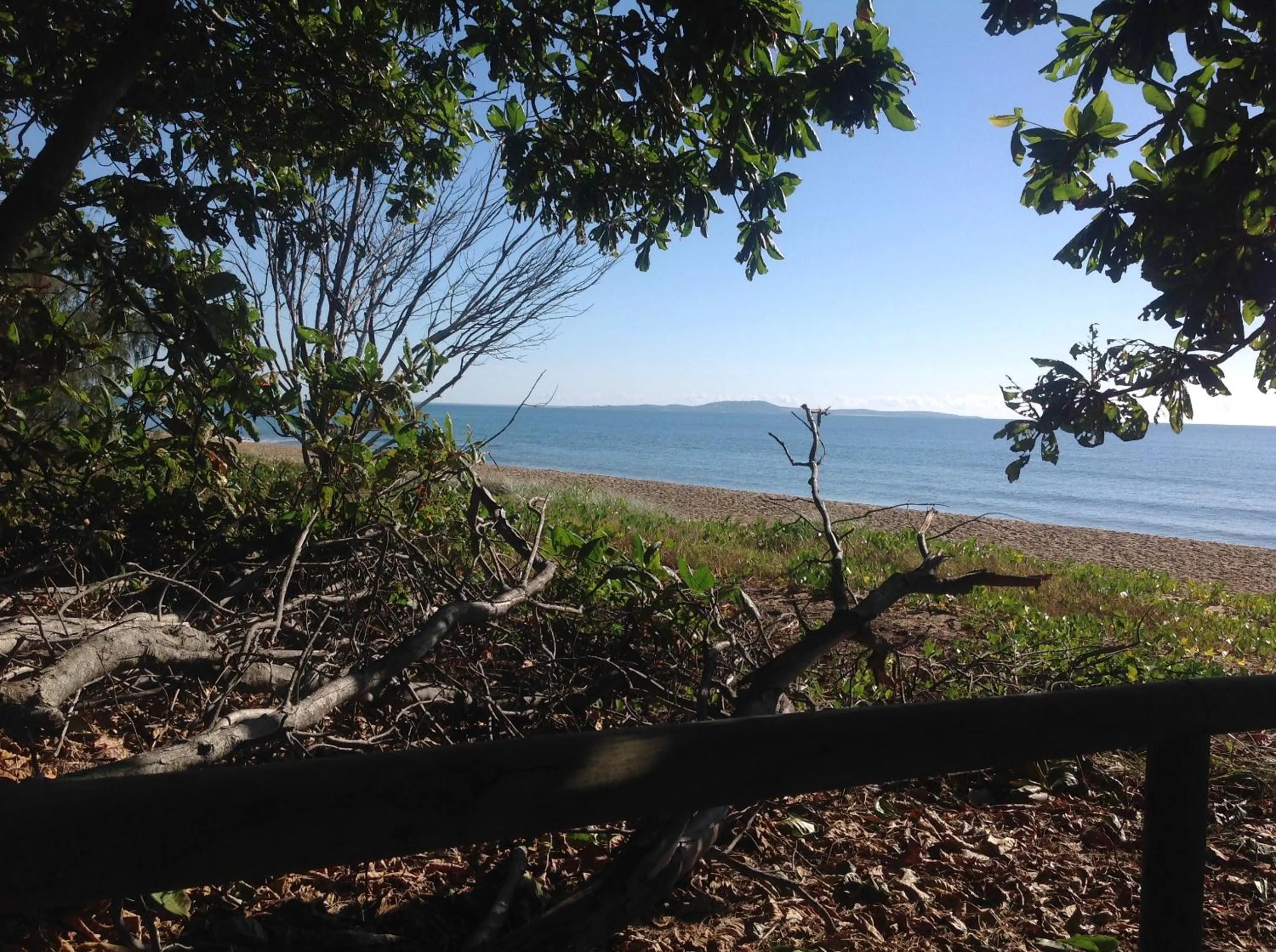 BBQ facilities in Tannum Sands Hotel / Motel