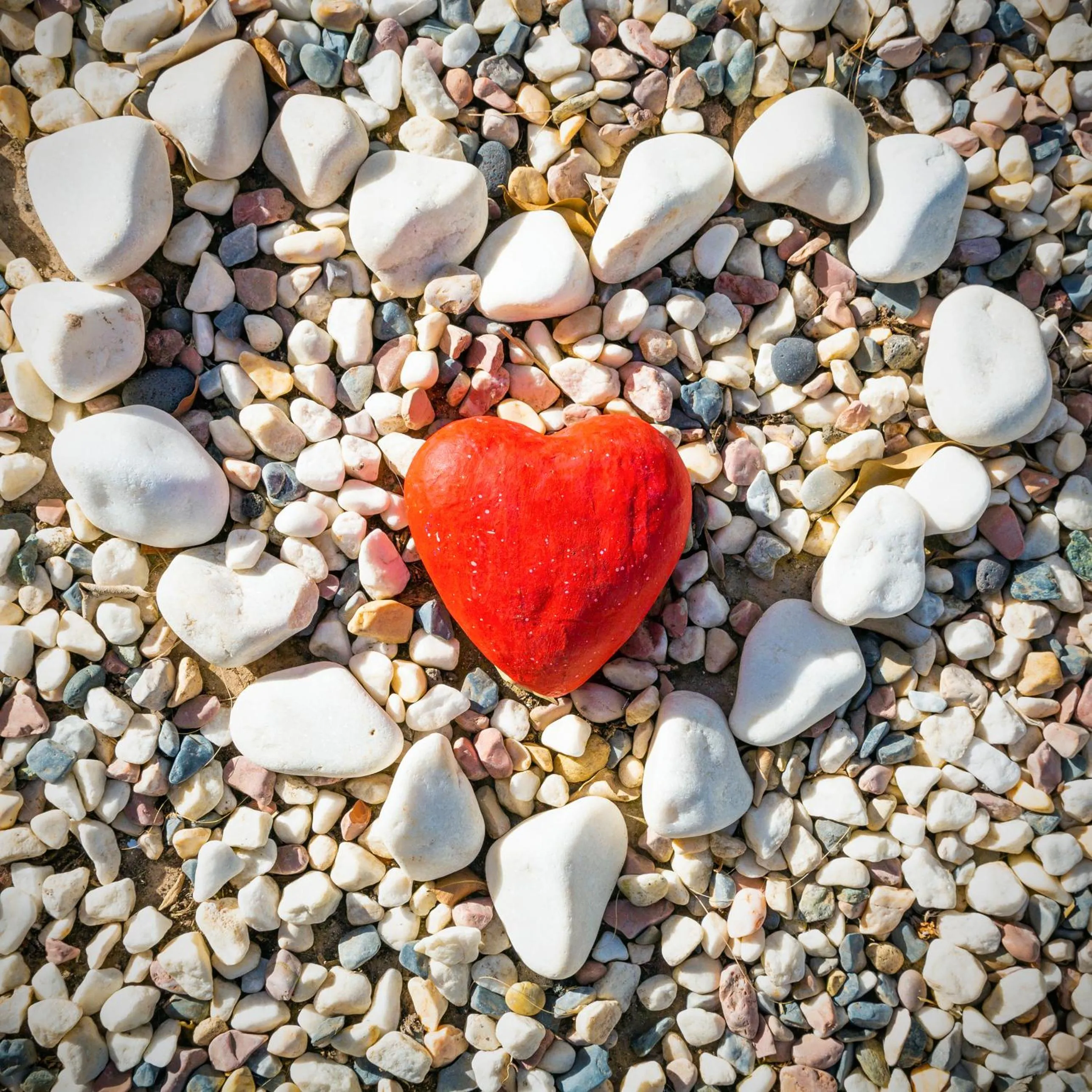 Logo/Certificate/Sign in Timanfaya Casa Rural