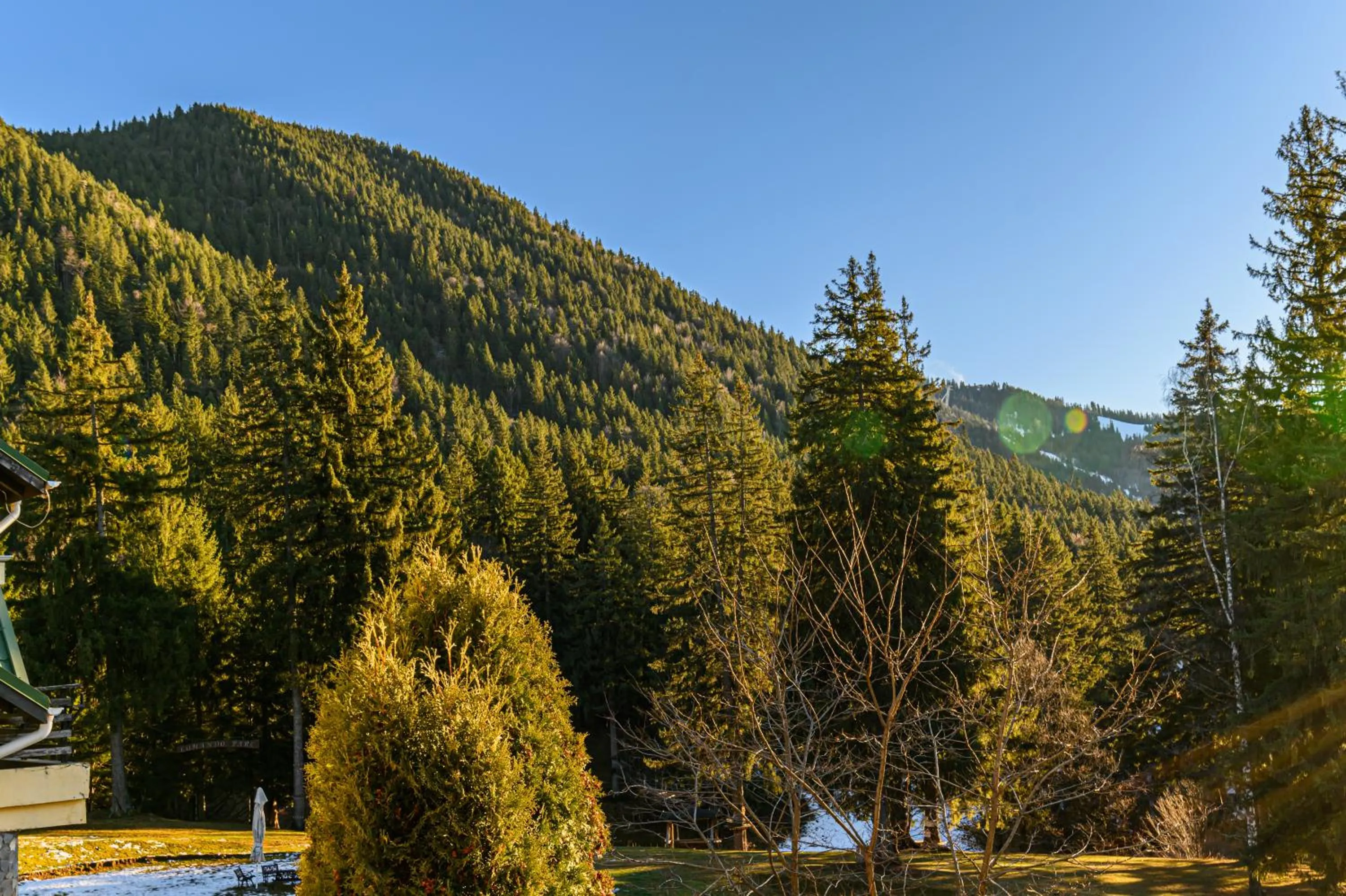 Nearby landmark in Hotel Casa Viorel jacuzzi & saunas