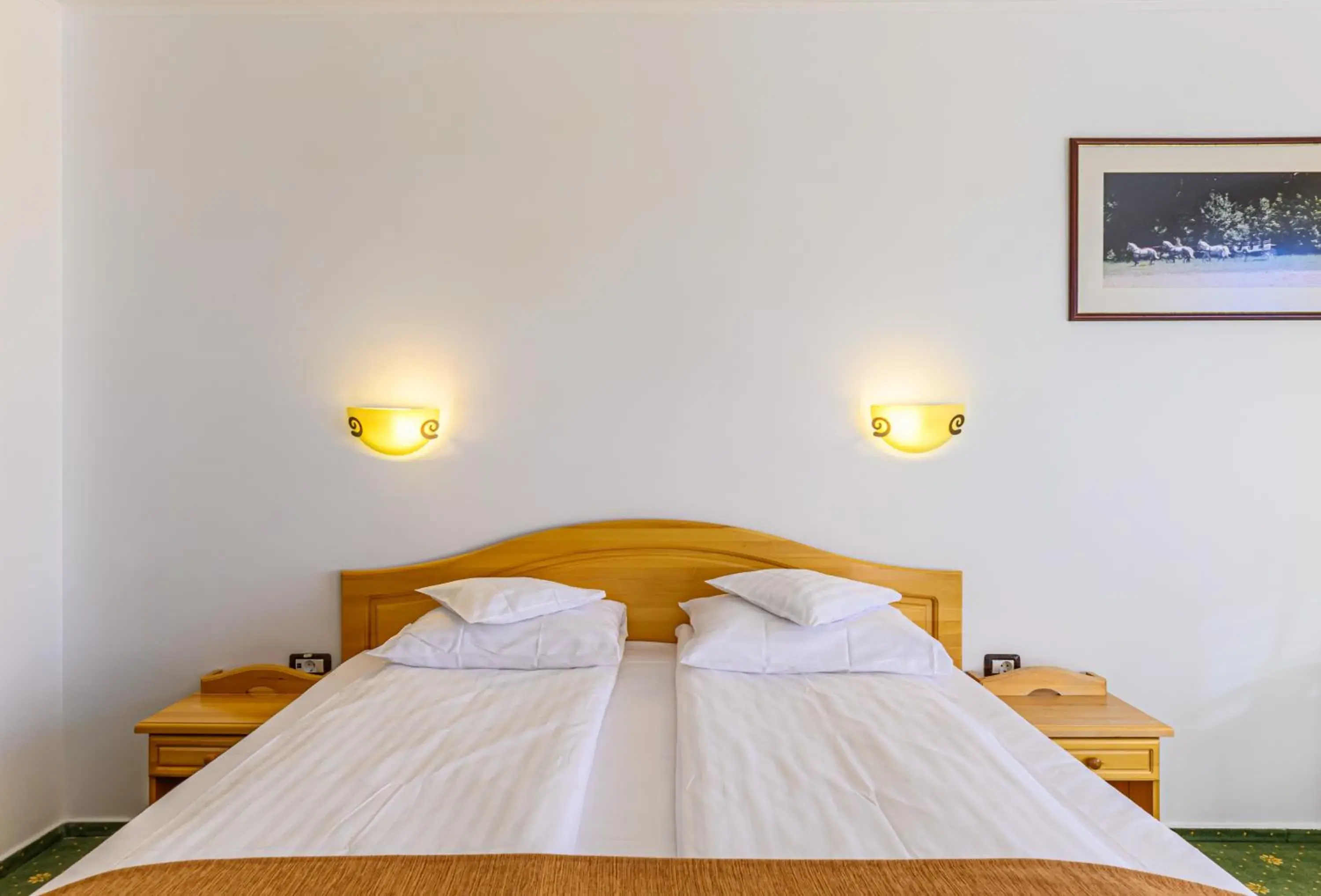 Superior Double Room with Balcony and Mountain View - single occupancy in Hotel Casa Viorel jacuzzi & saunas Superior Double Room with Balcony and Mountain View - single occupancy in Hotel Casa Viorel jacuzzi & saunas