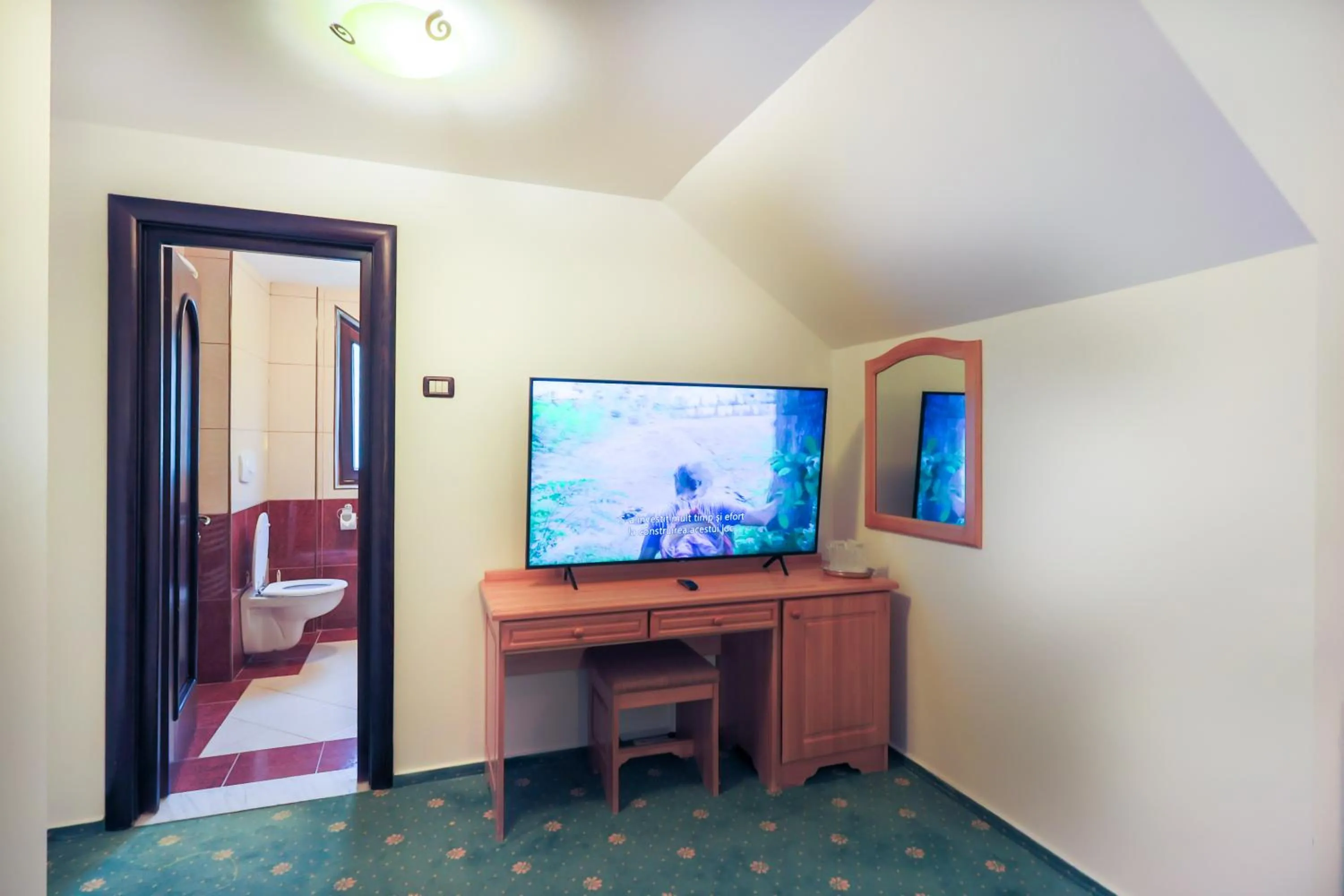 TV and multimedia in Hotel Casa Viorel jacuzzi & saunas