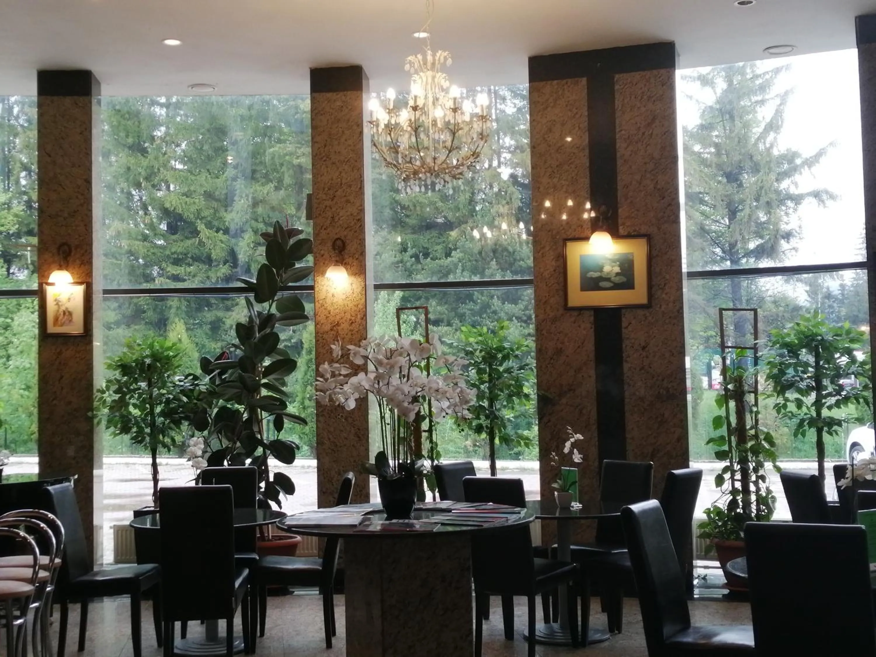 Lounge or bar in Hotel Piemonte