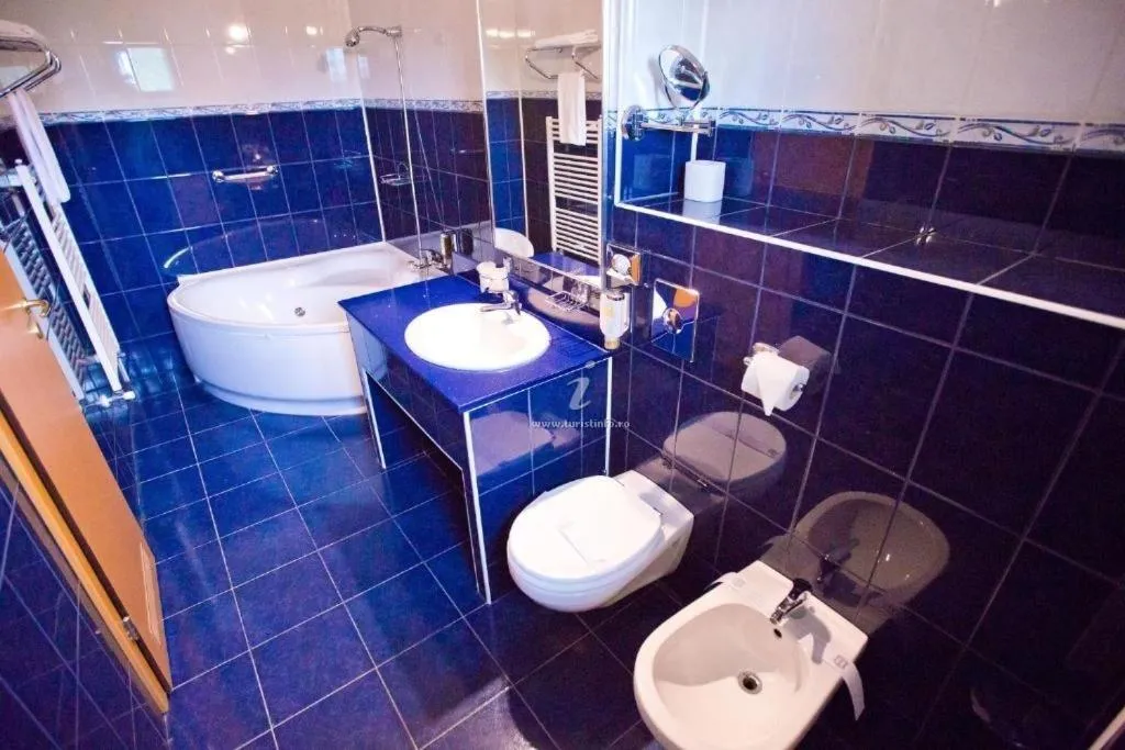 Toilet in Hotel Piemonte