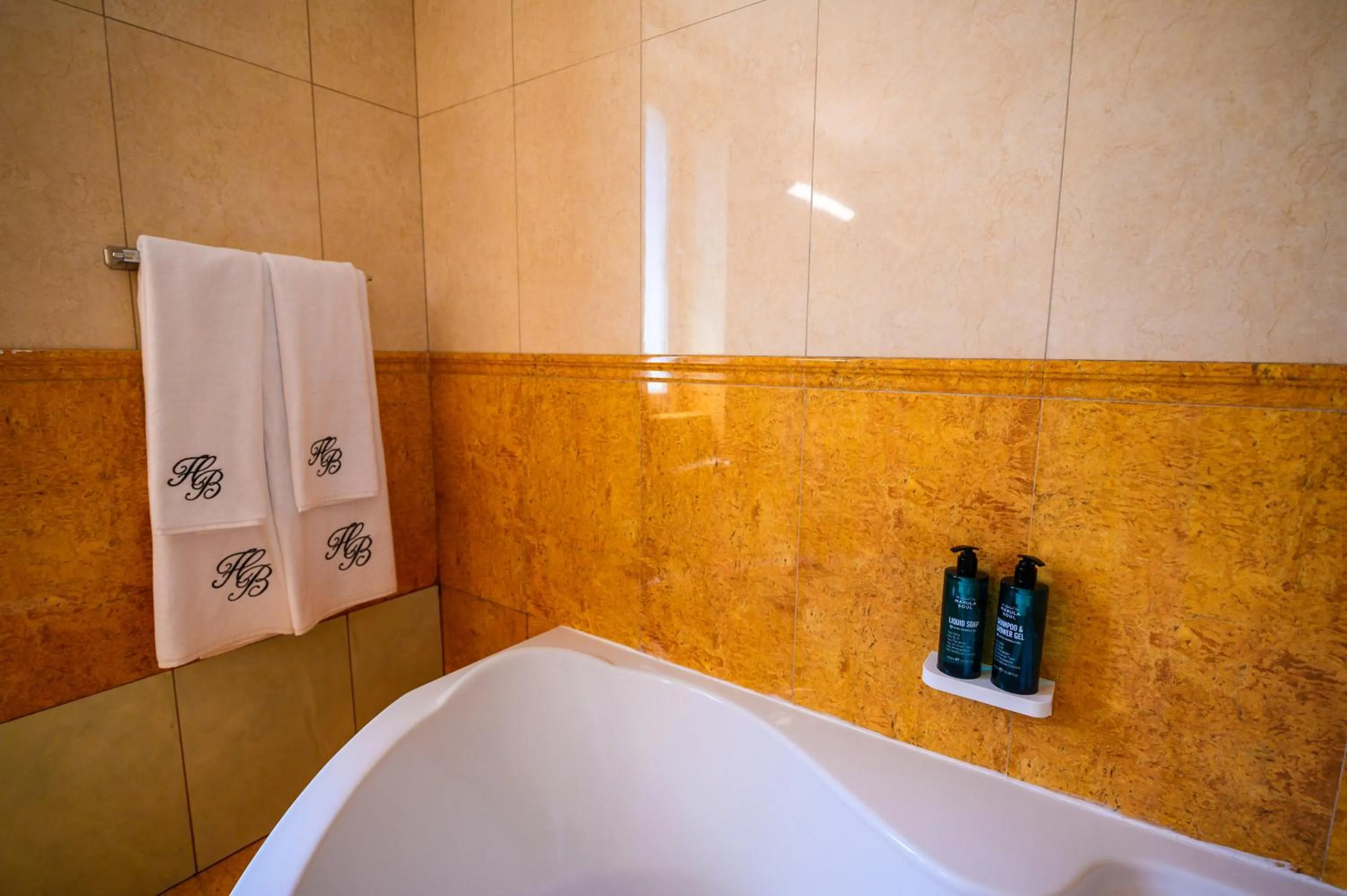 Shower in Hotel Bulevard