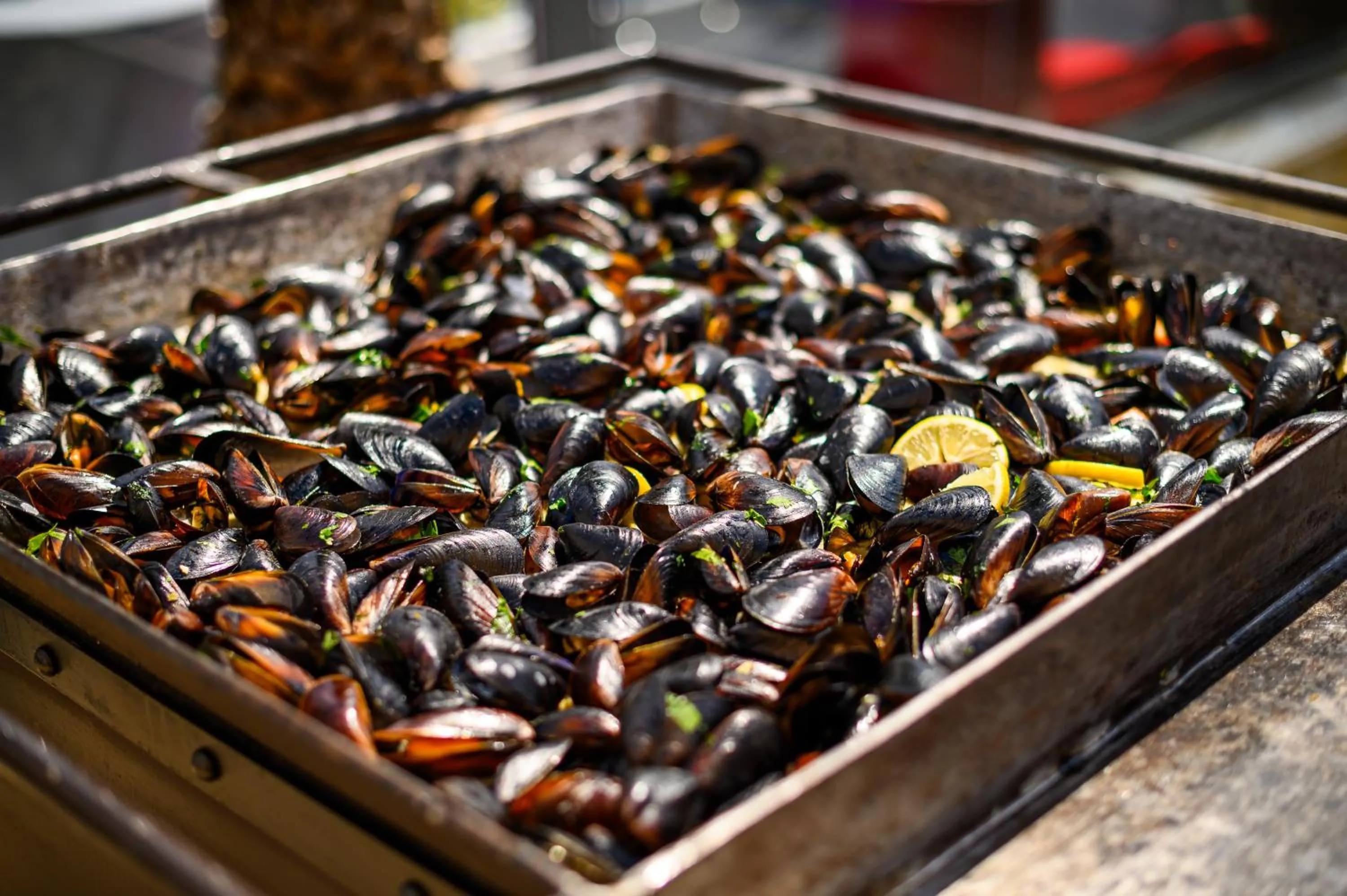 Food and drinks in Hotel Bulevard