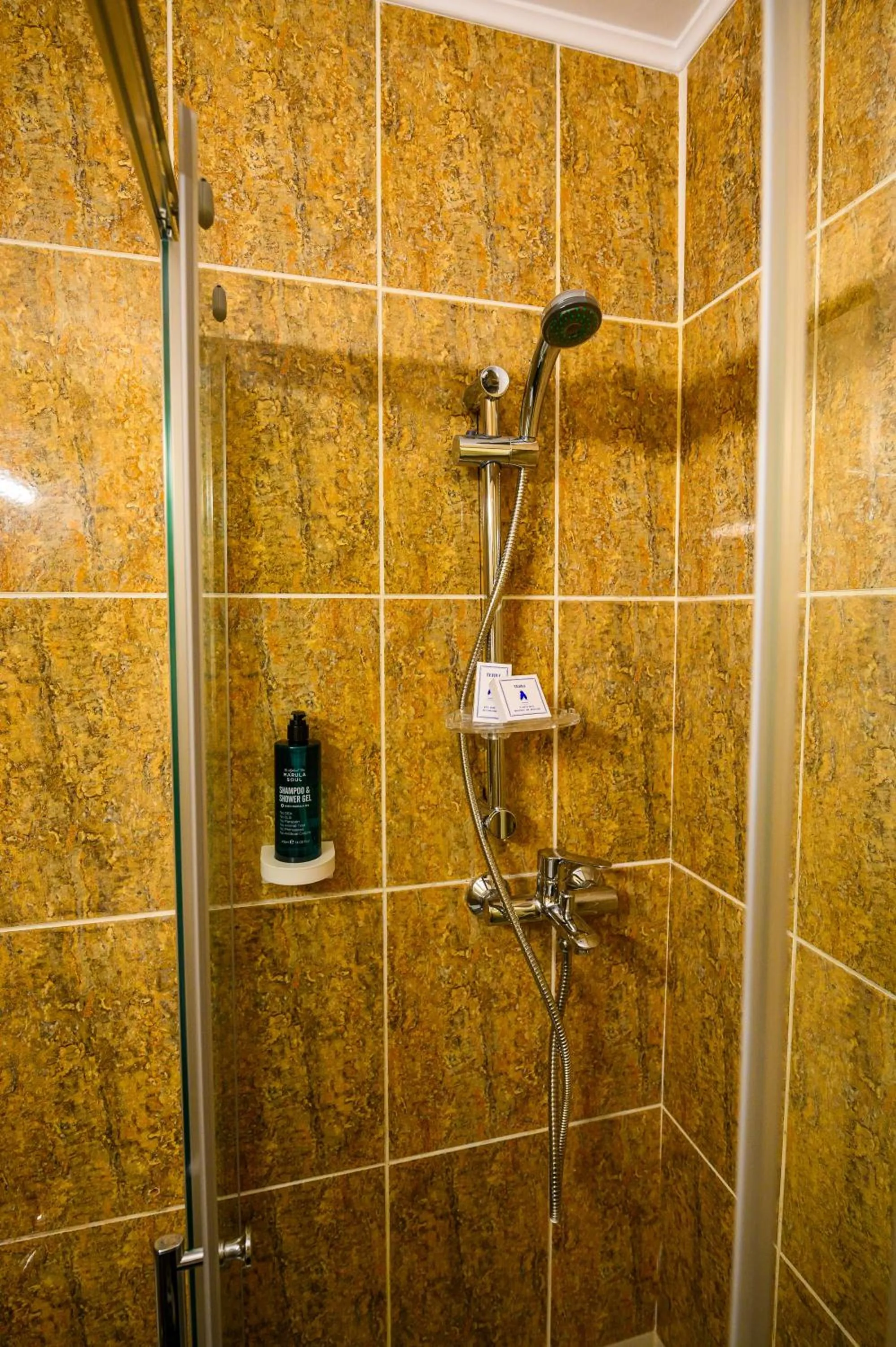 Shower in Hotel Bulevard