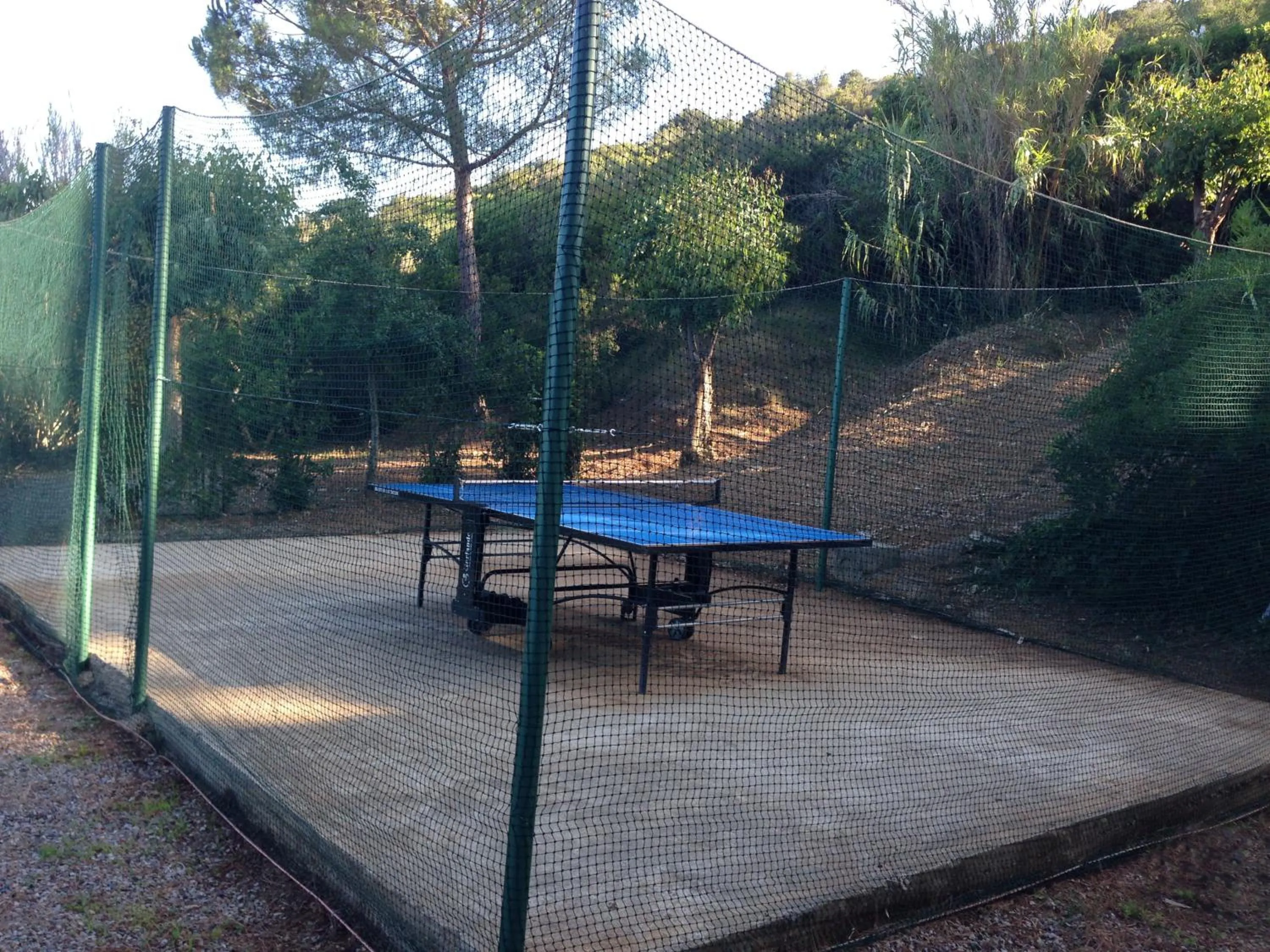 Table tennis in Hotel Villa Giulia