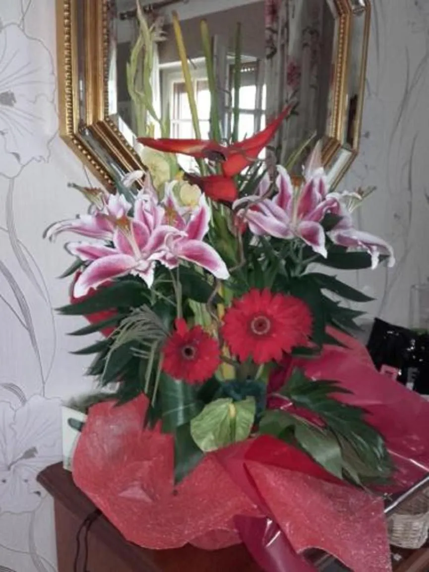 People in studios les Hortensias