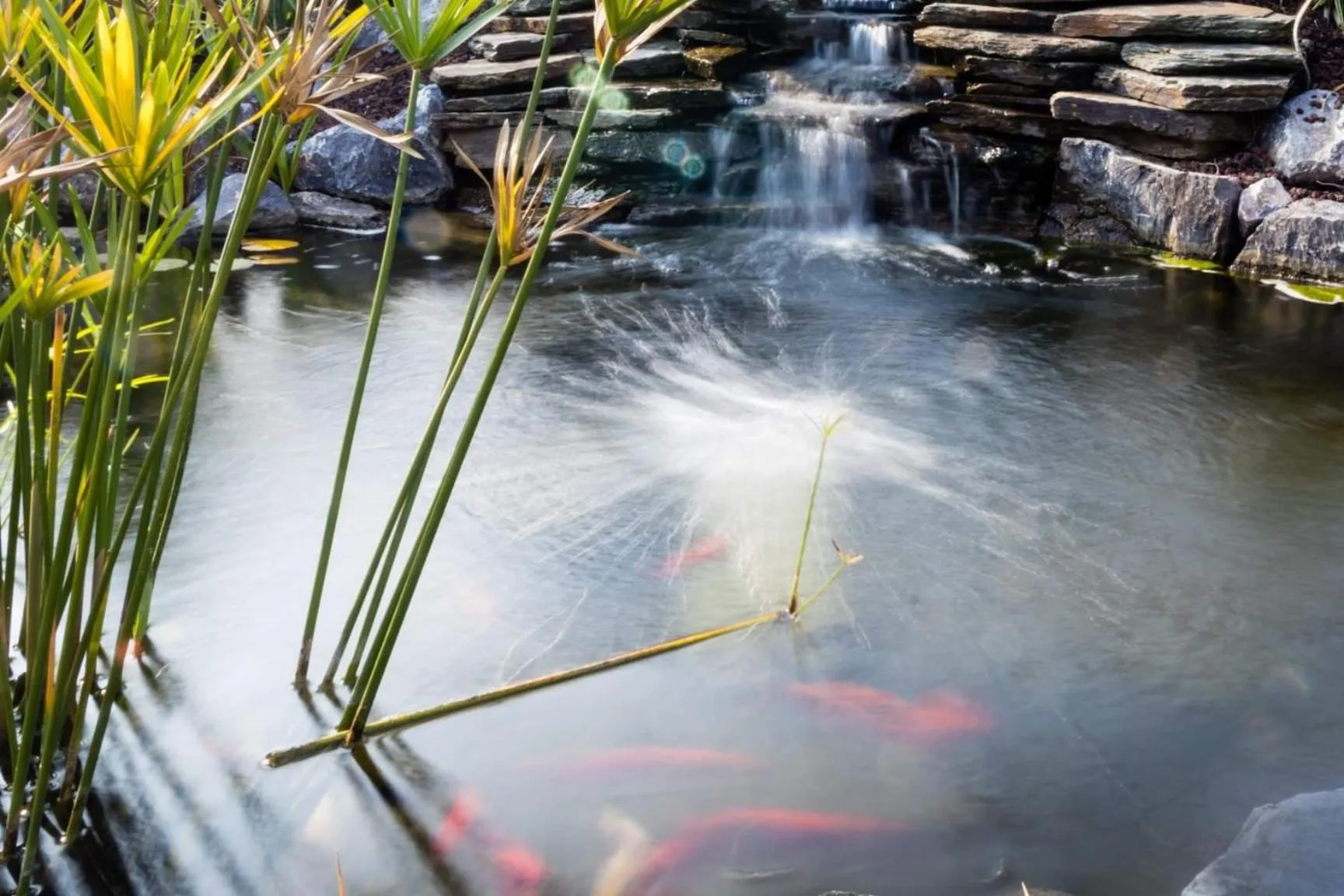 studios les Hortensias