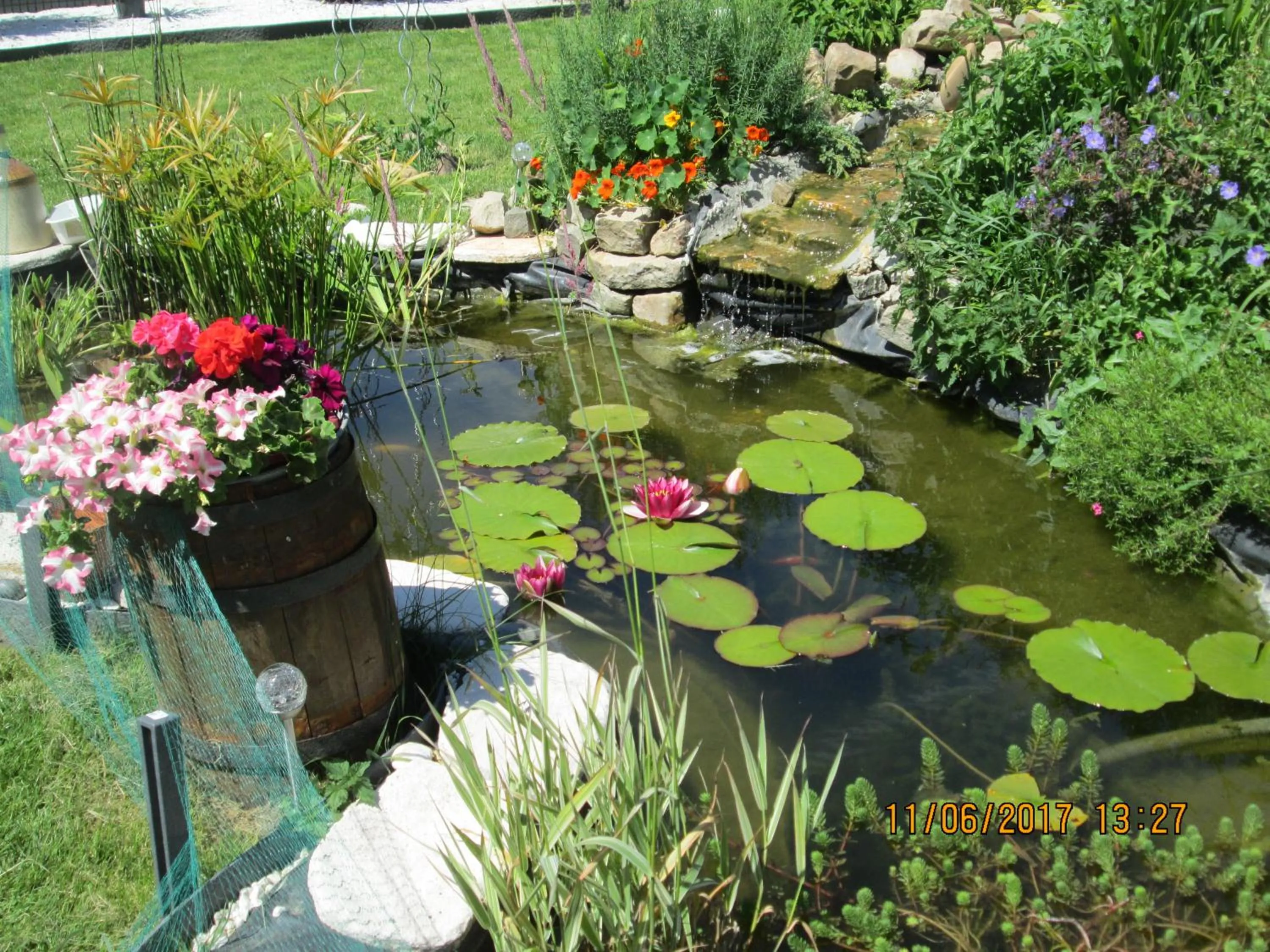Garden in studios les Hortensias