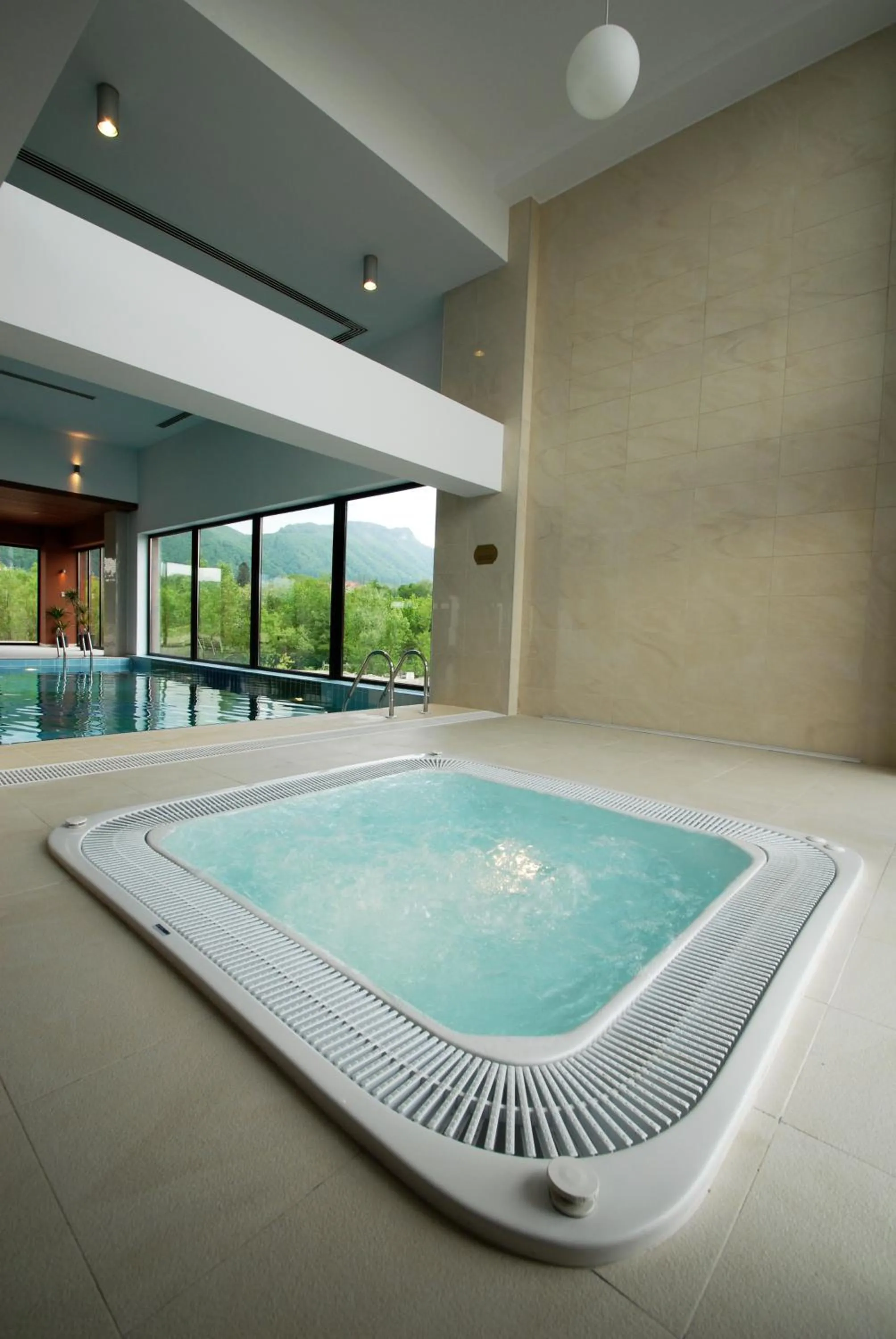 Hot Tub in Hotel Wolf 2