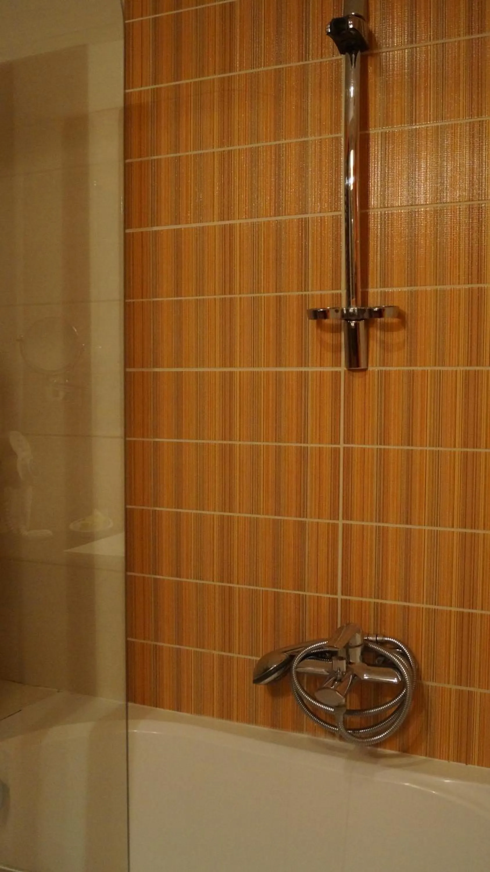 Bathroom in Hotel Wolf 2