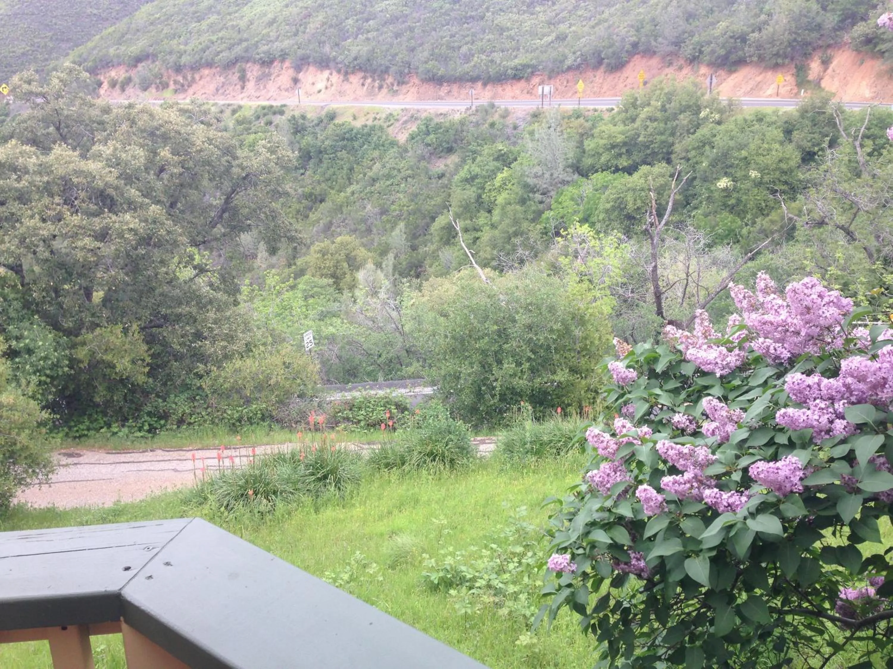 Mountain view in Priest Station Cafe & Cabins