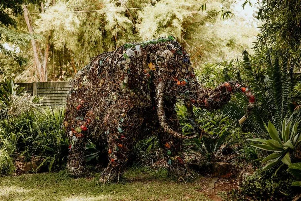 Natural landscape in Amanzi Lodge