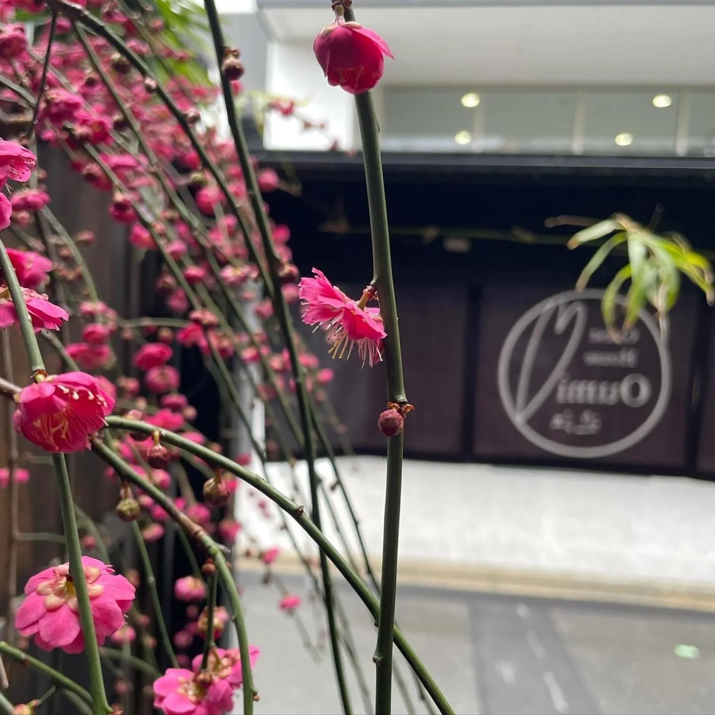 Property building in Guest House Oumi