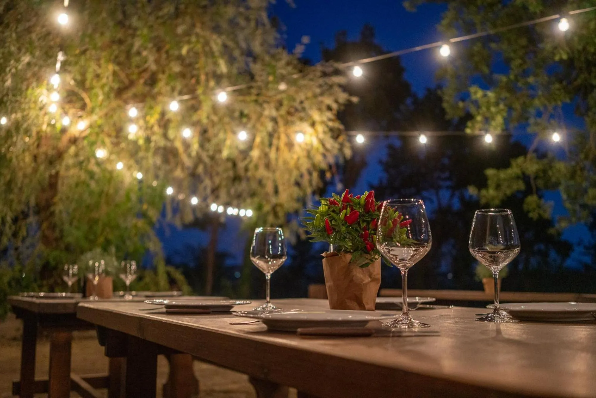 Restaurant/places to eat in Borgo San Lorenzo a Linari