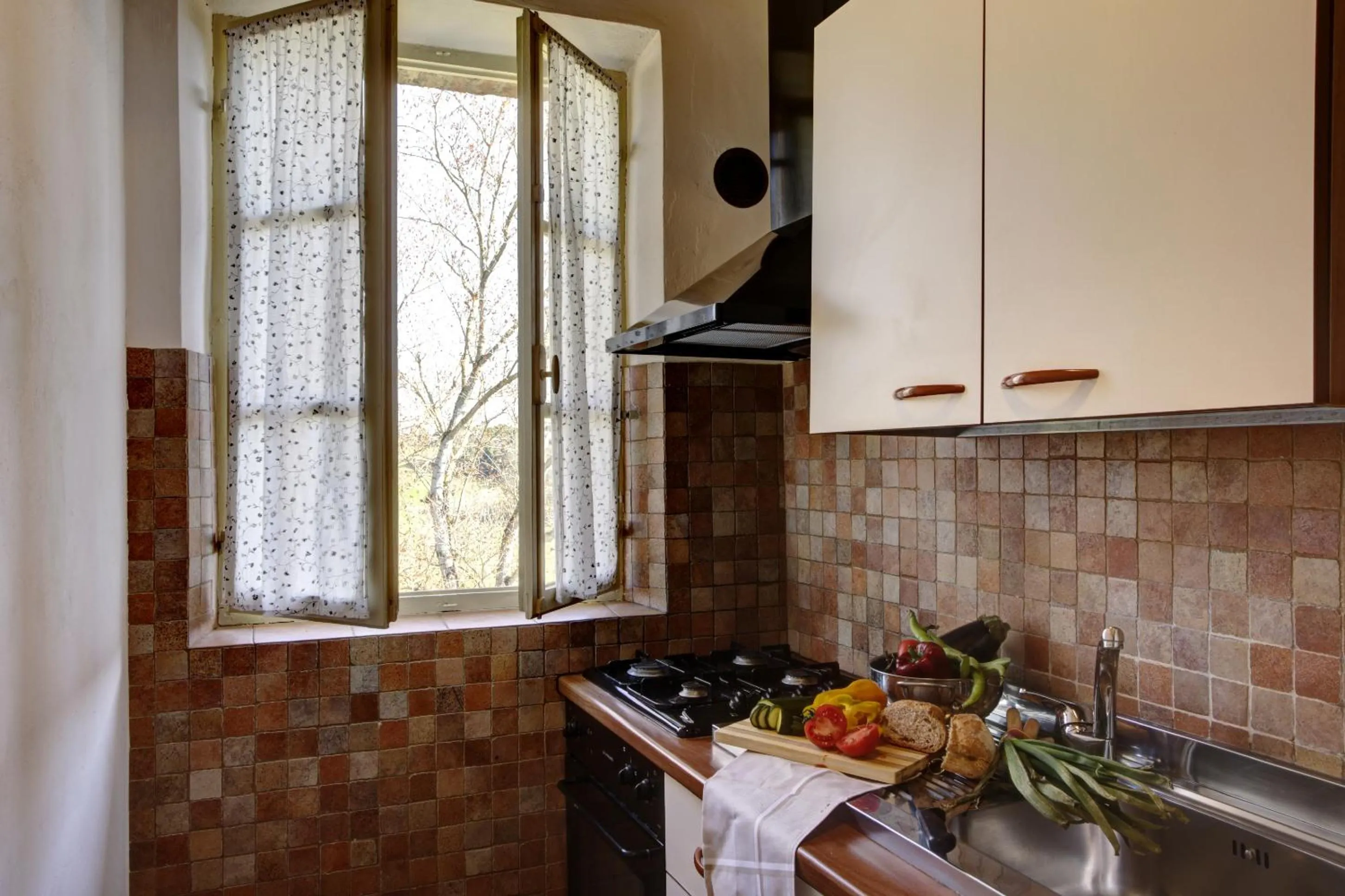 Kitchen or kitchenette in Borgo San Lorenzo a Linari