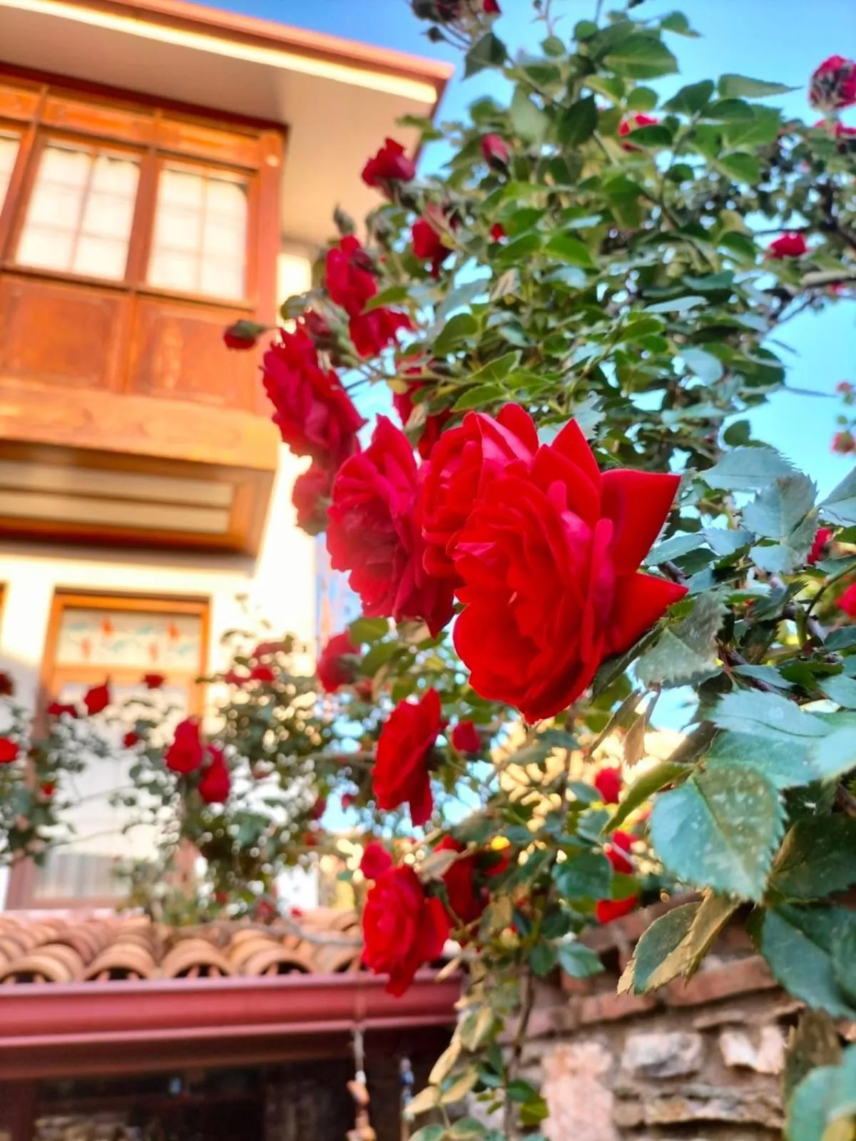 Property building in Hotel Mary's House