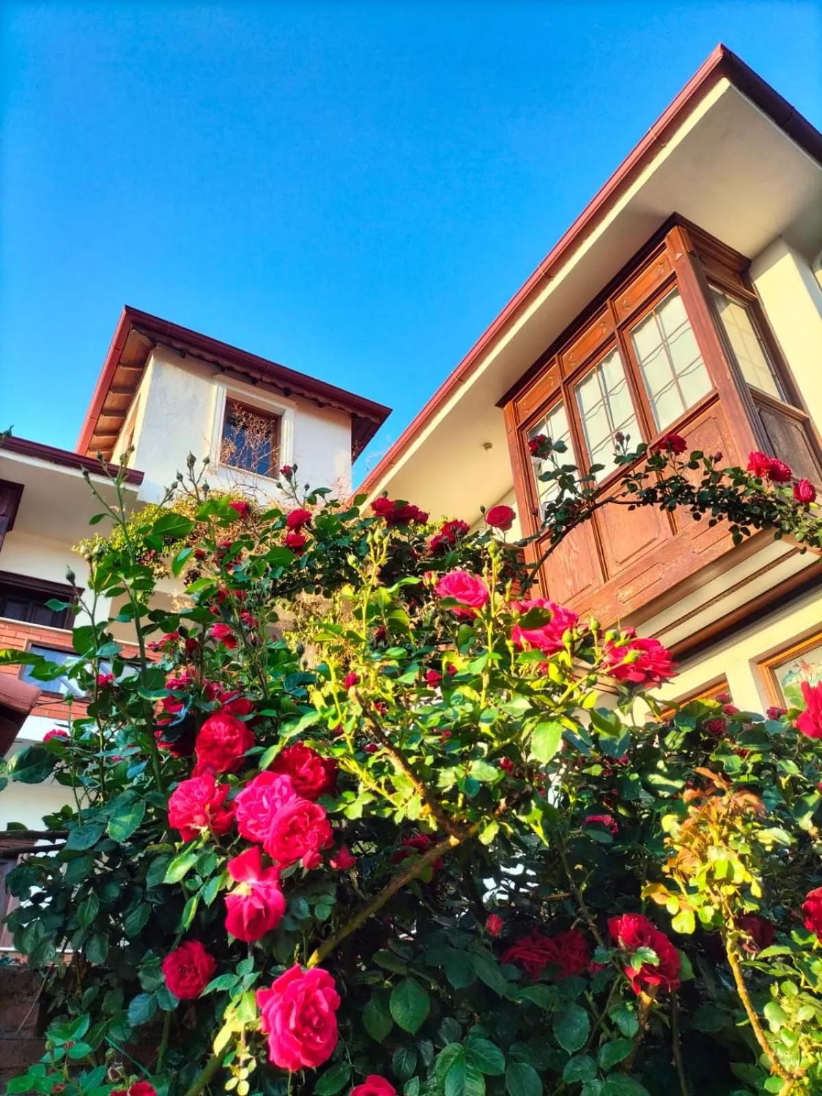 Property building in Hotel Mary's House