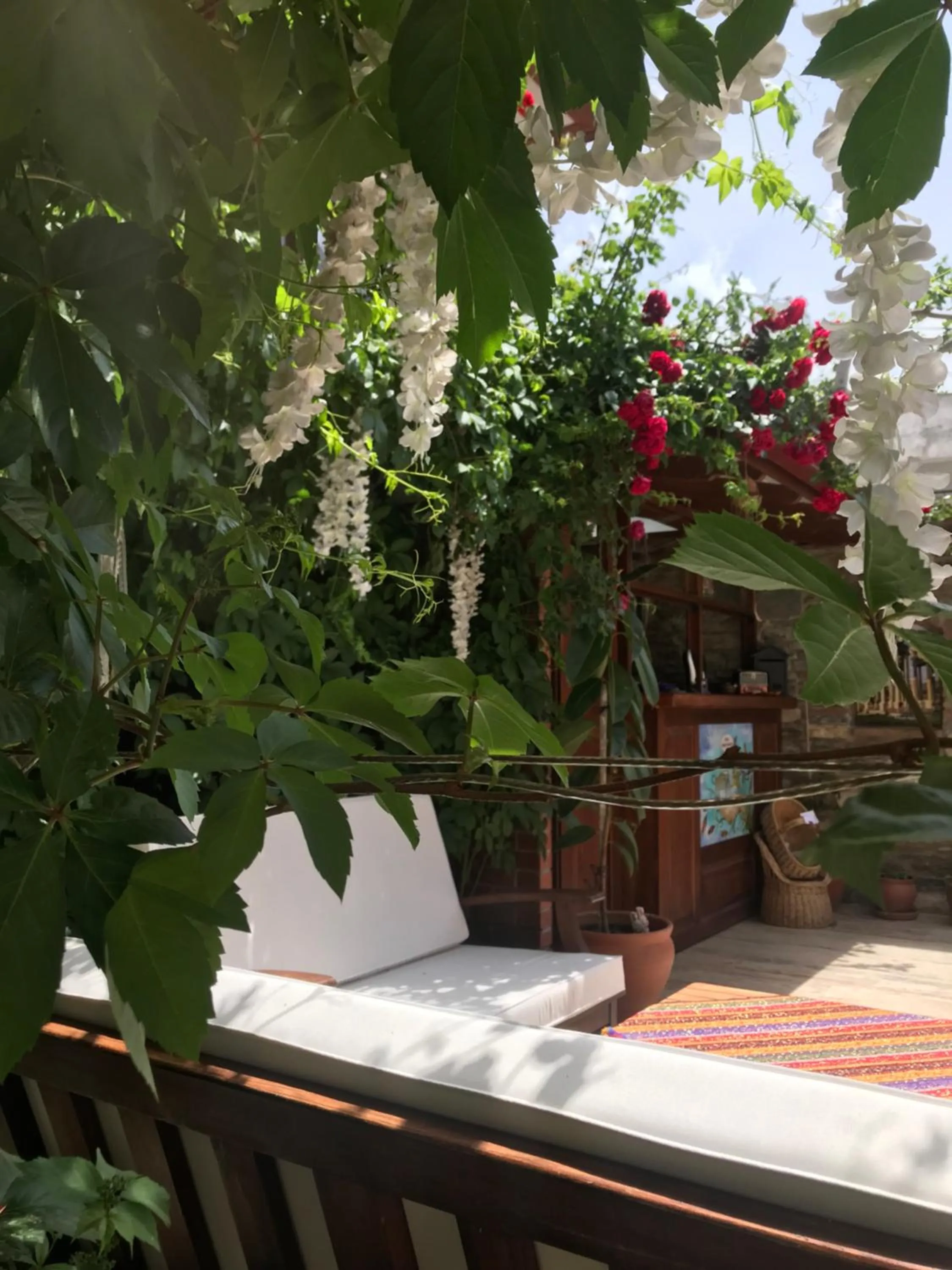 Patio in Hotel Mary's House