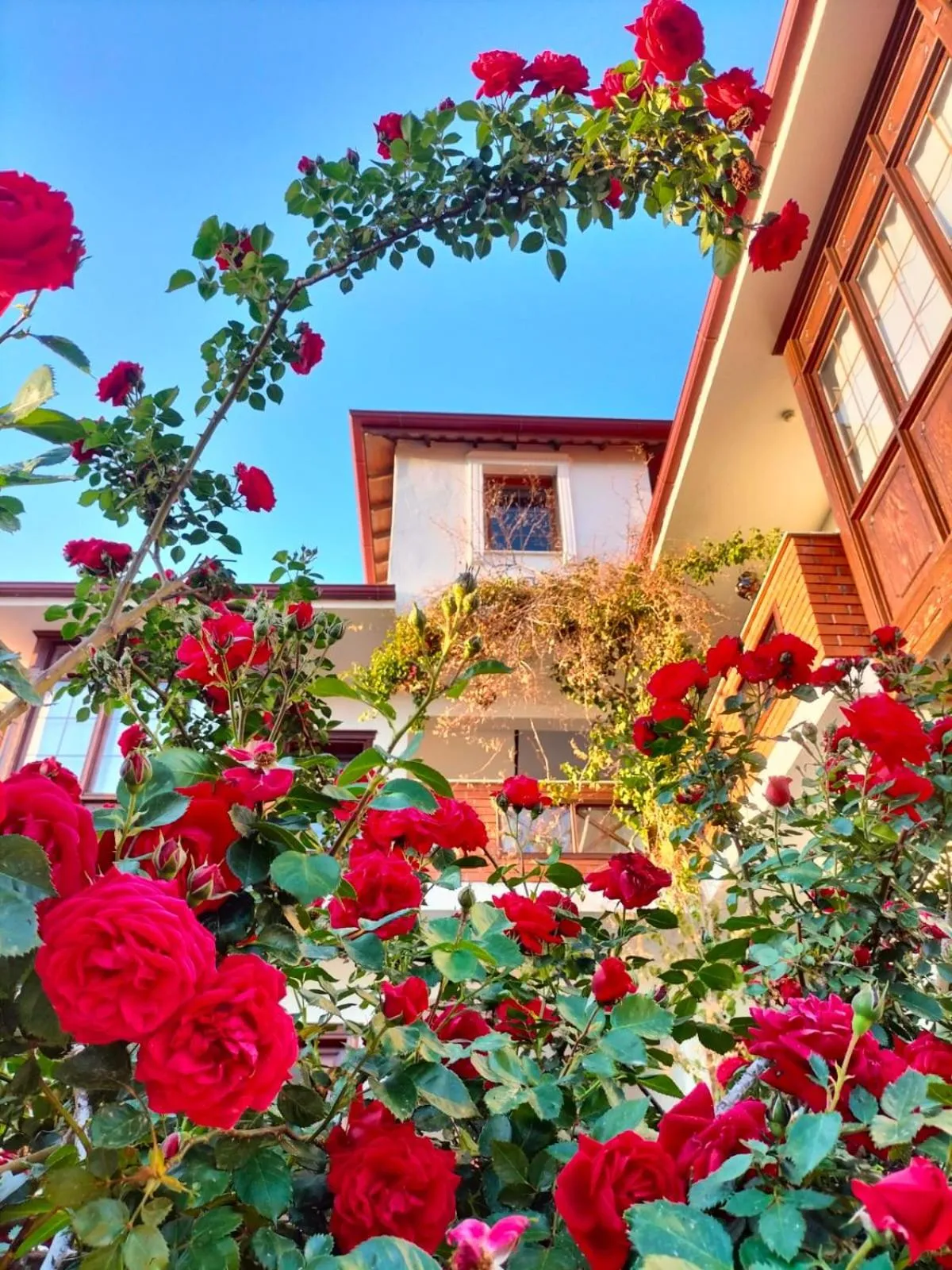 Property building in Hotel Mary's House