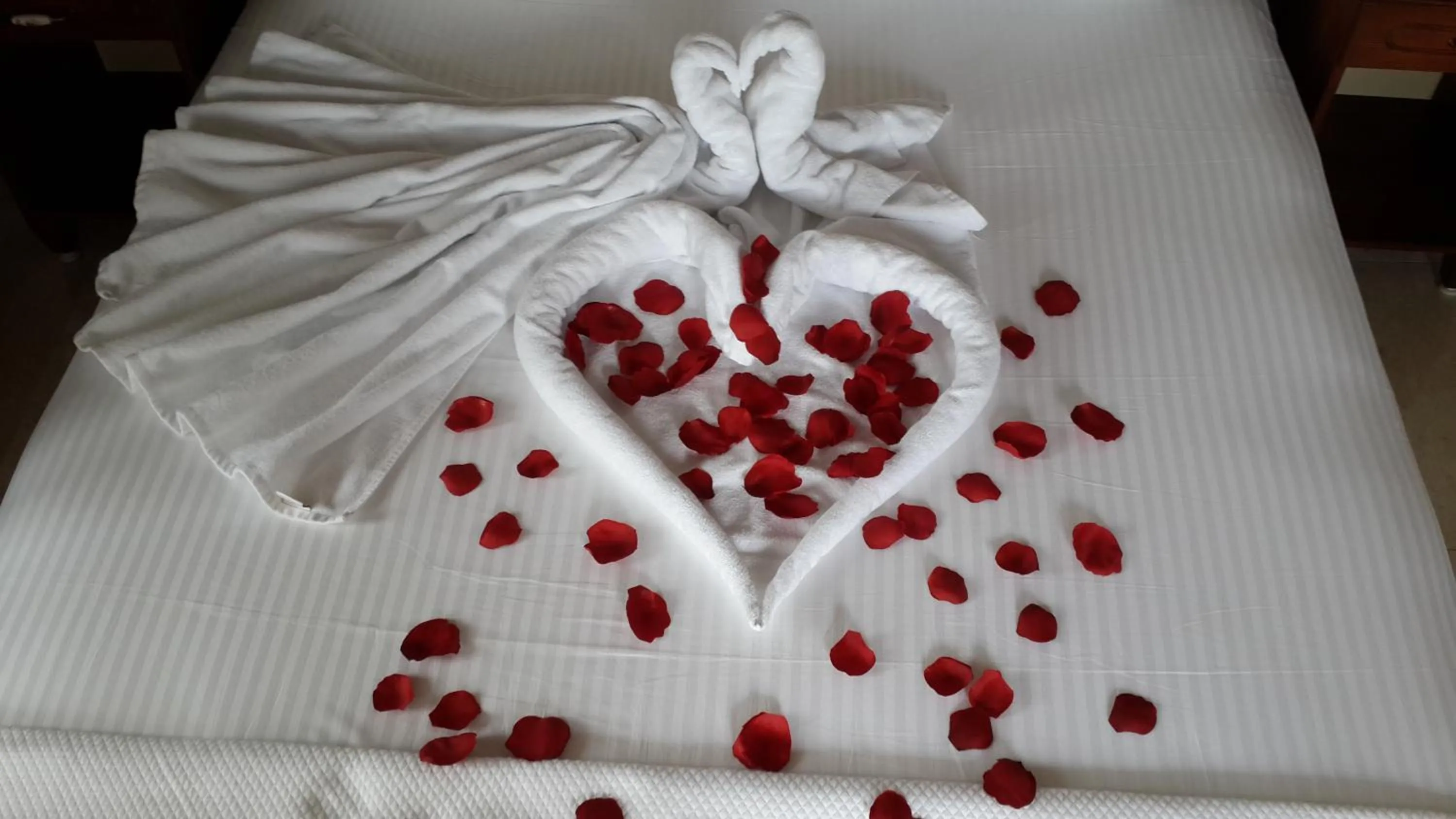 Decorative detail in Hotel Mary's House