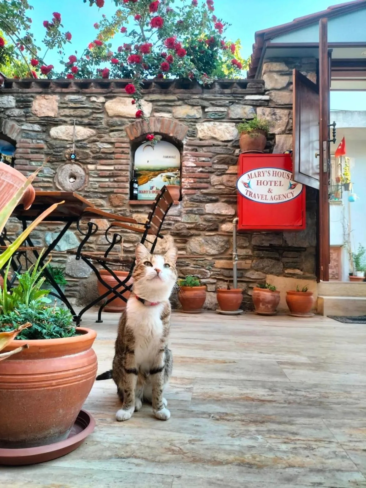 Garden in Hotel Mary's House