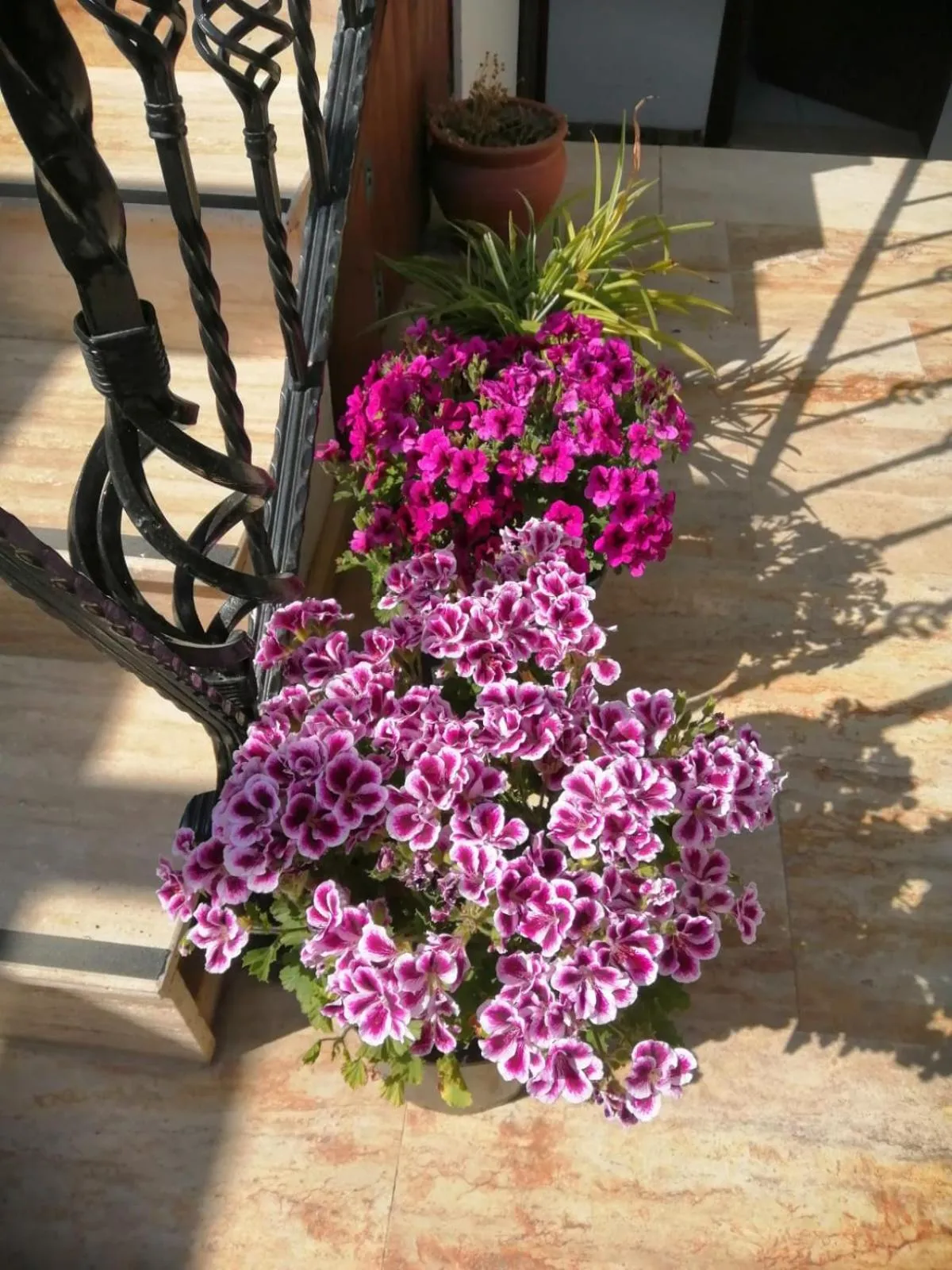 Garden in Hotel Mary's House
