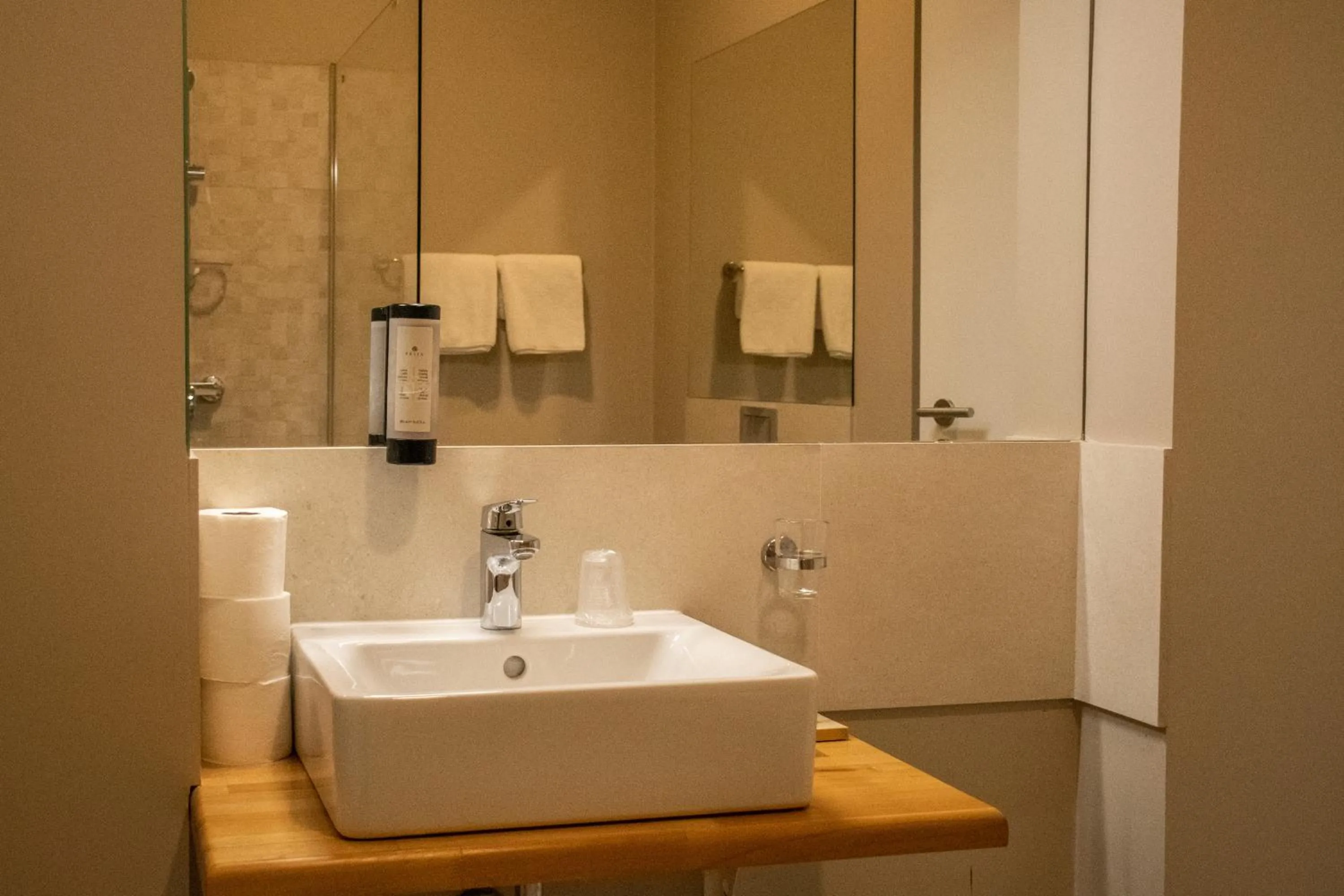 Bathroom in Hirscher Loft