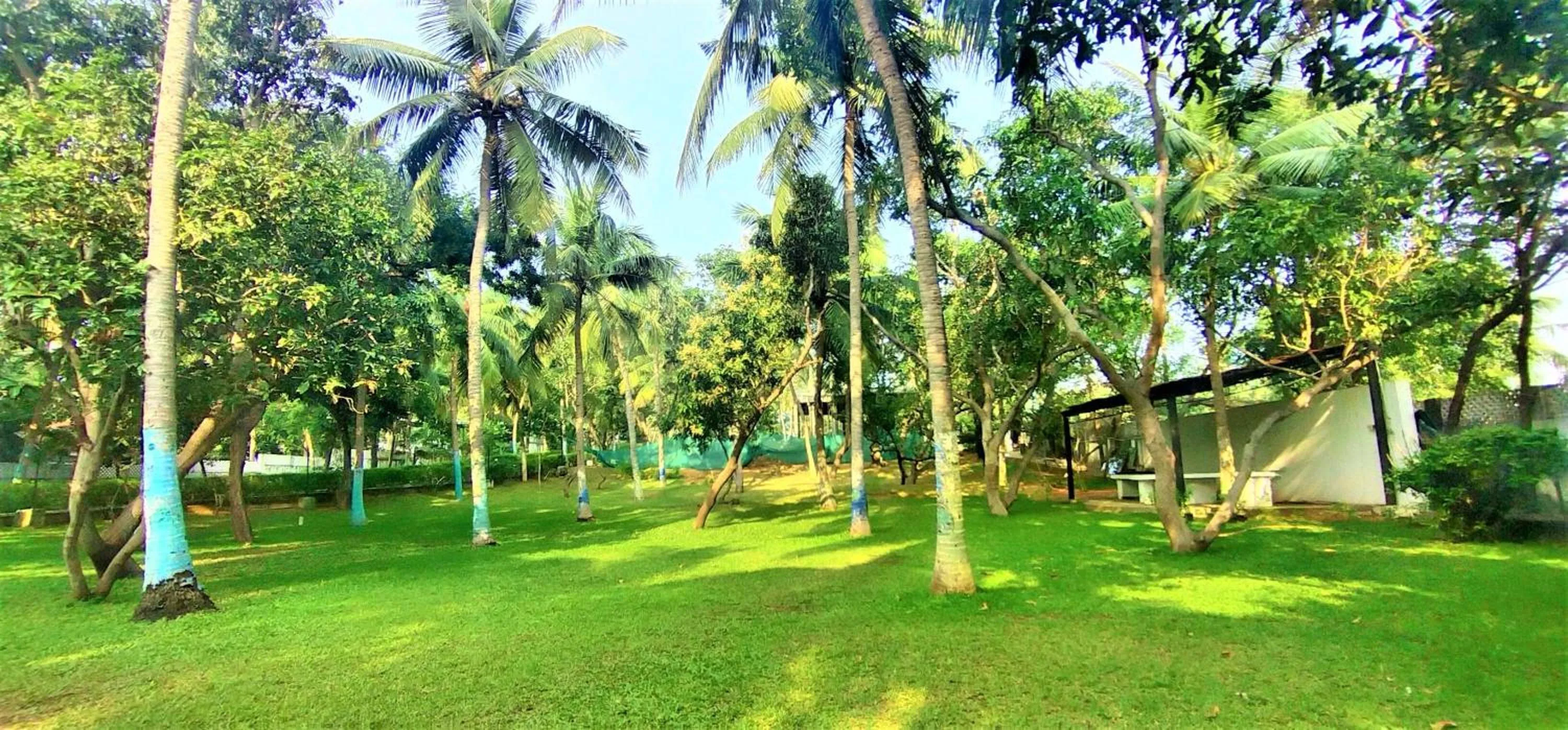 Garden view in Shelter Beach Resort