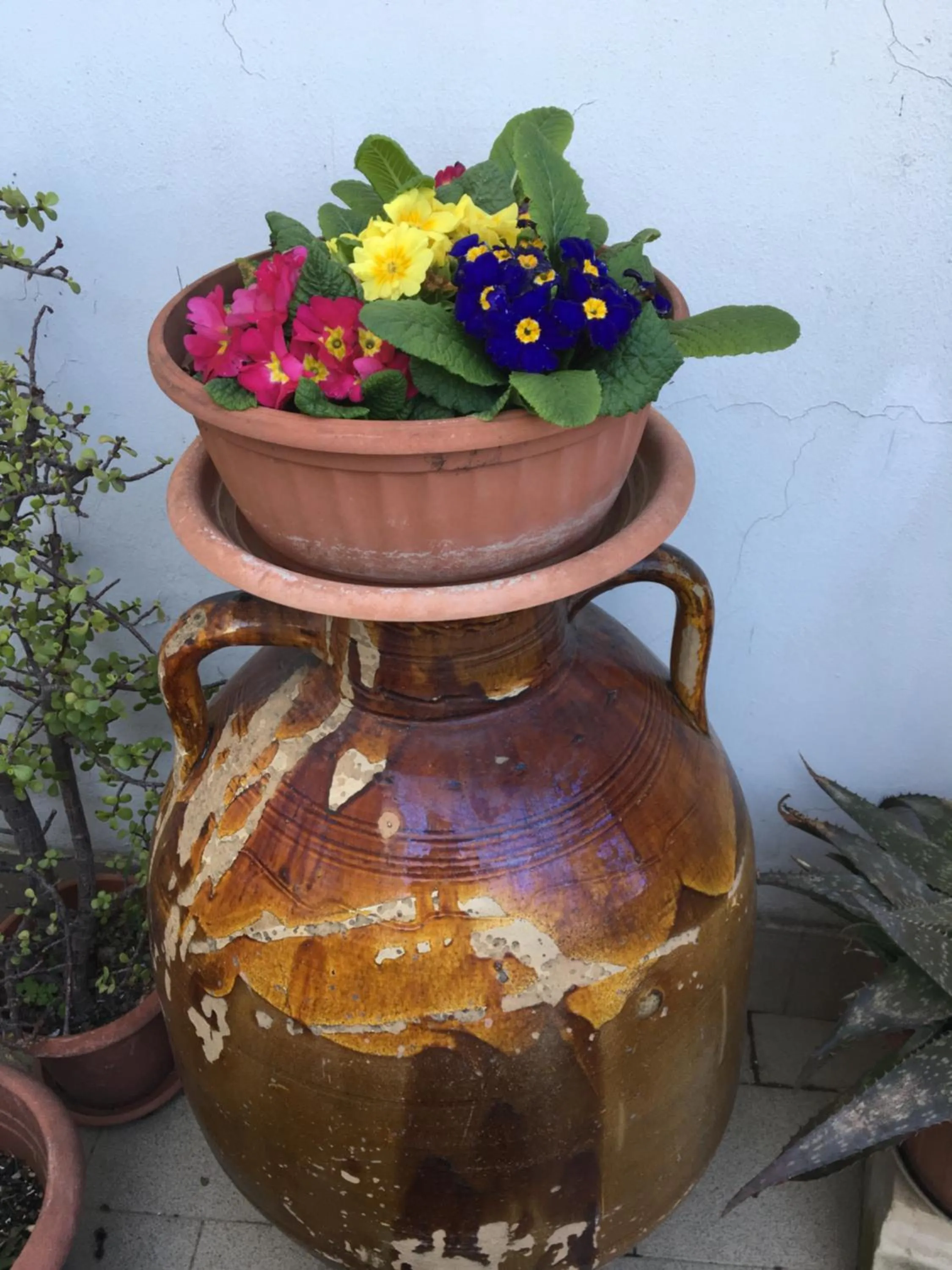 Garden in B&B Cafe' Fausu