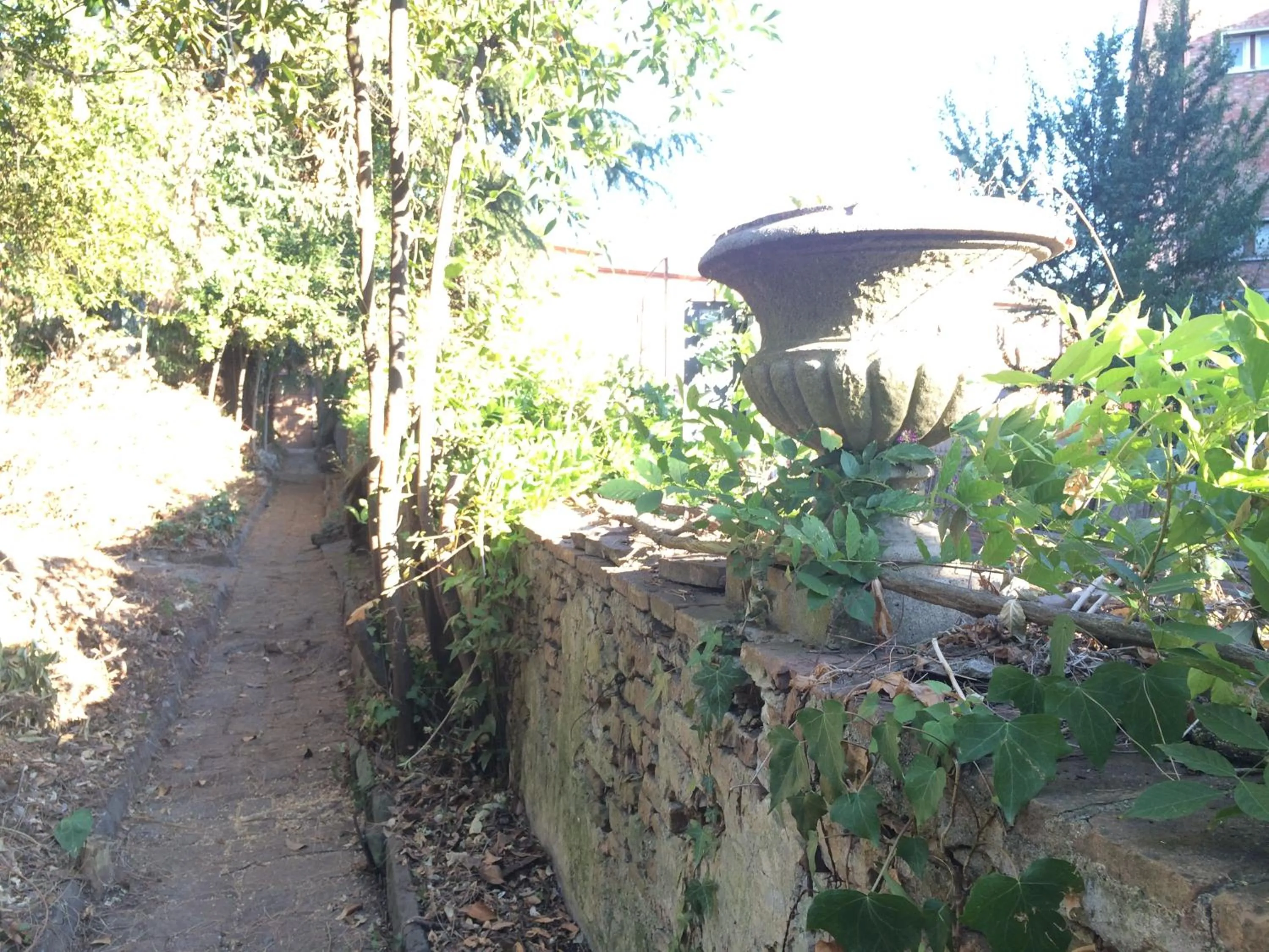 Garden in Relais La Corte dei Cavalieri