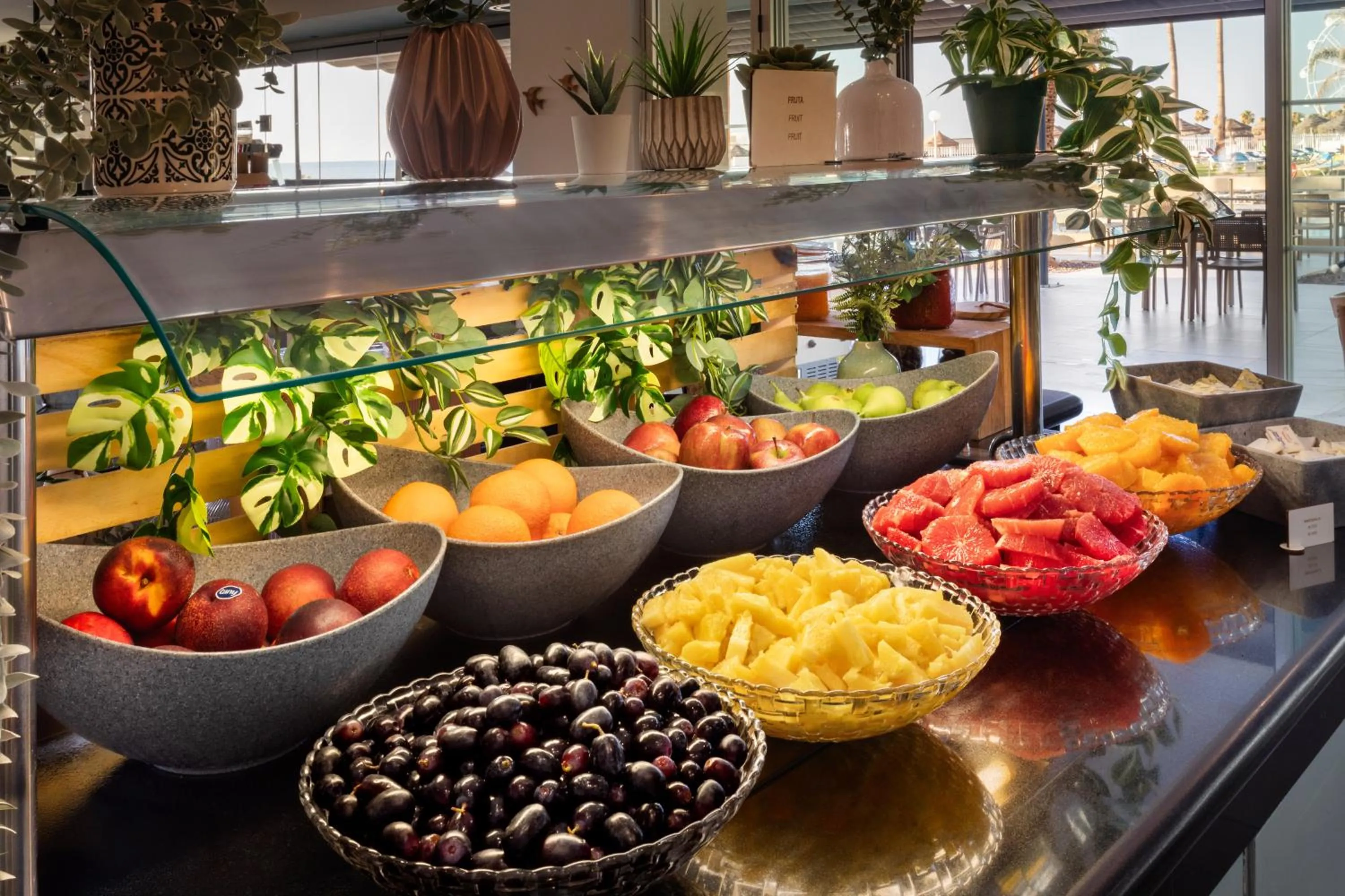 Food and drinks in Sol Puerto Marina