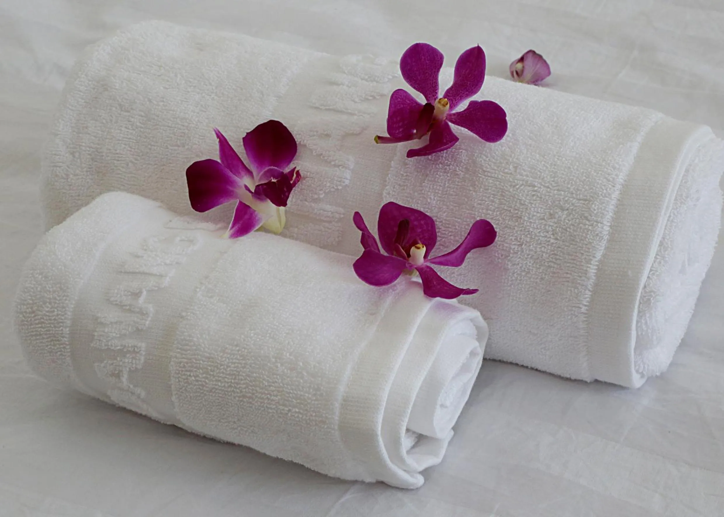 Other in Danang Beach 2 Hotel