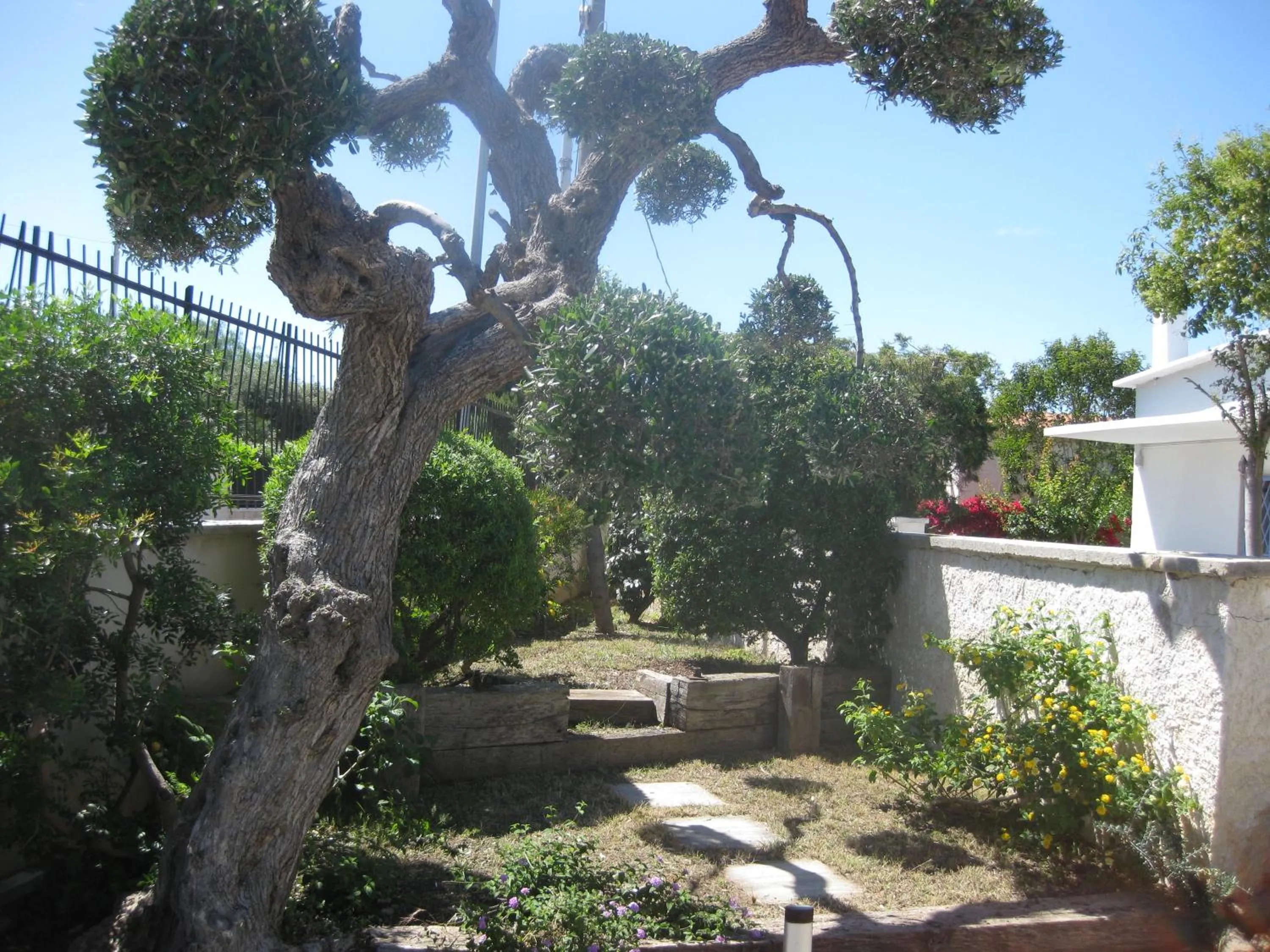 Garden in B&B Villa Lucia