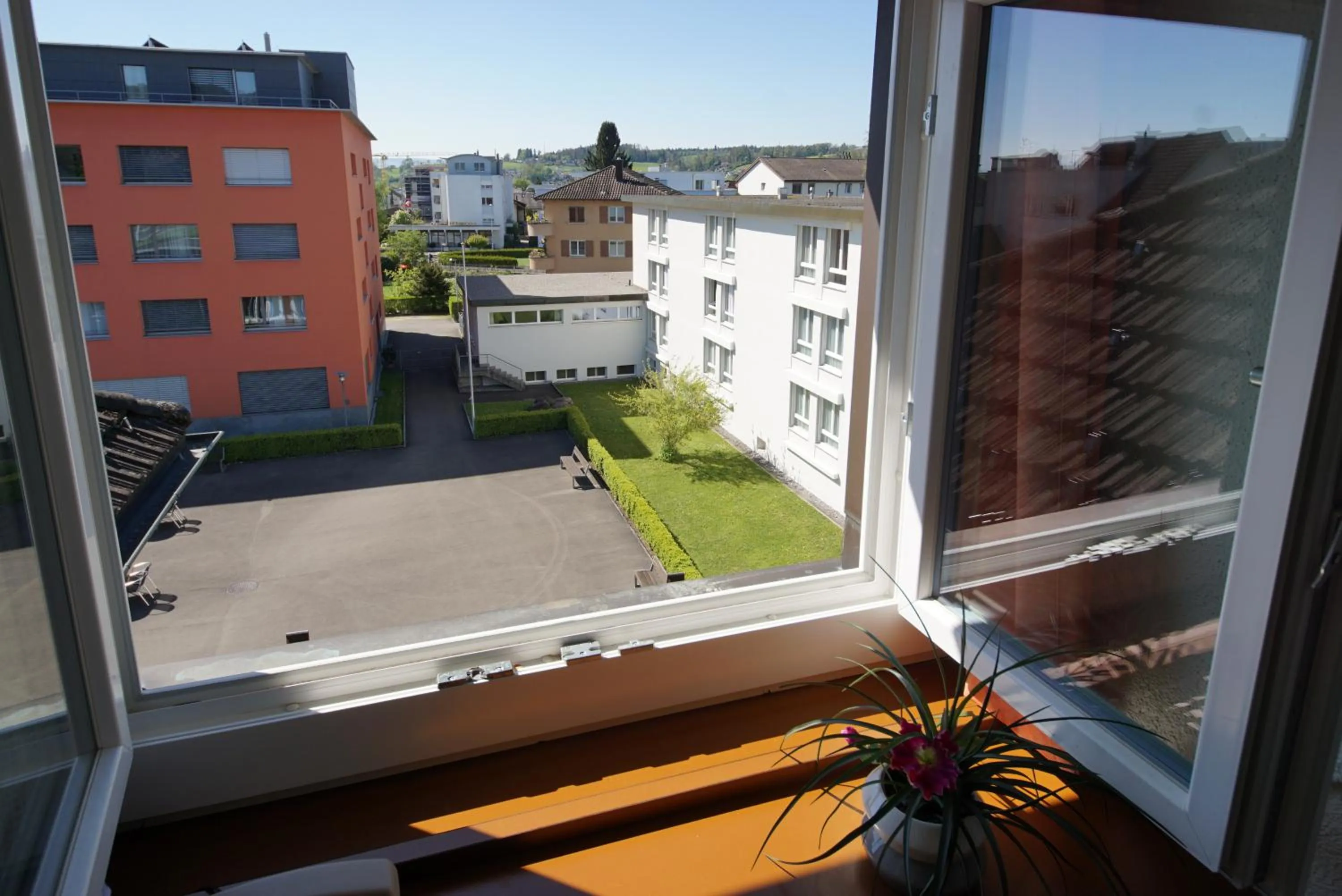 Garden view in Hostel Eckstein