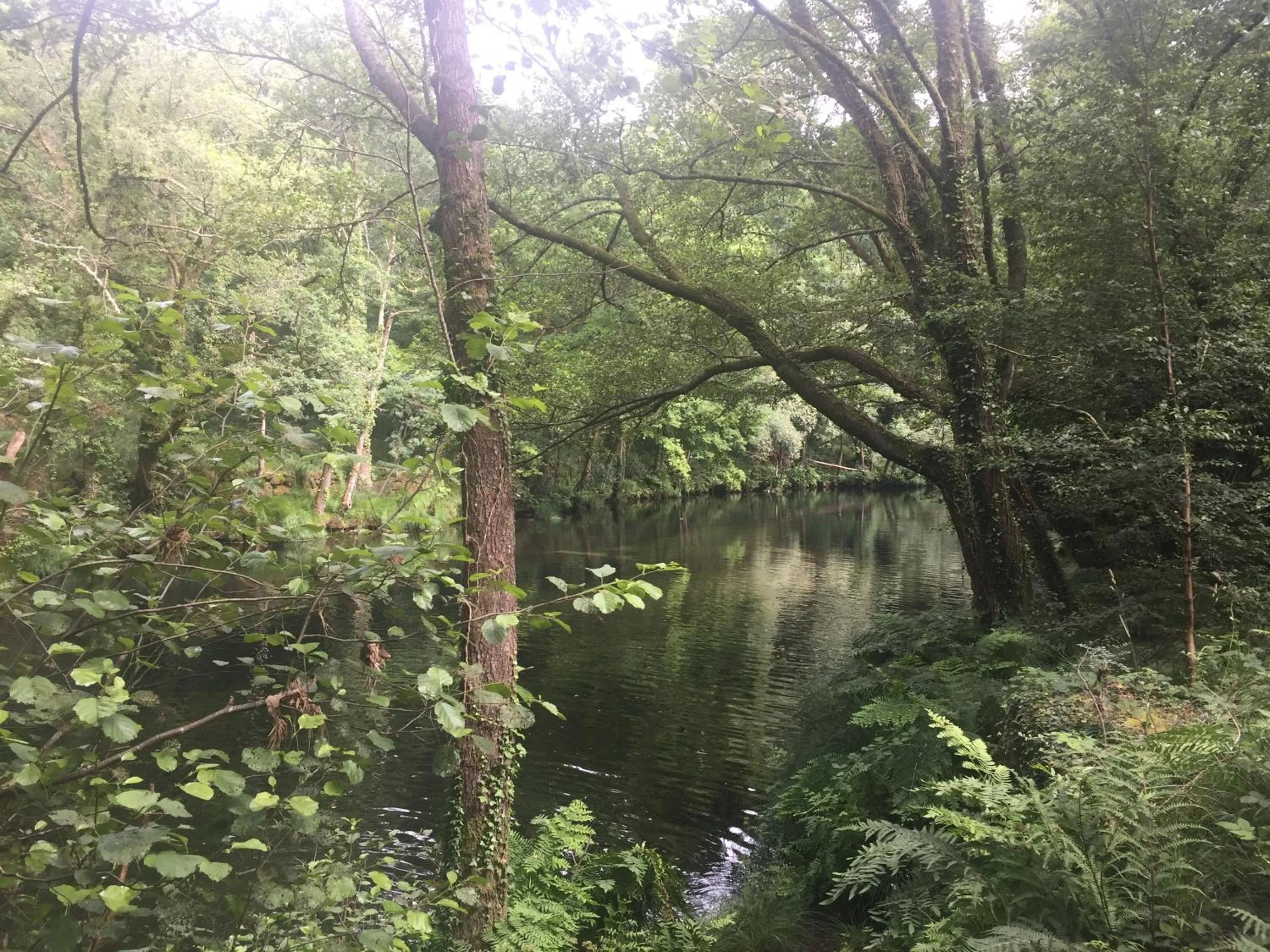 Nearby landmark in Hotel Celanova