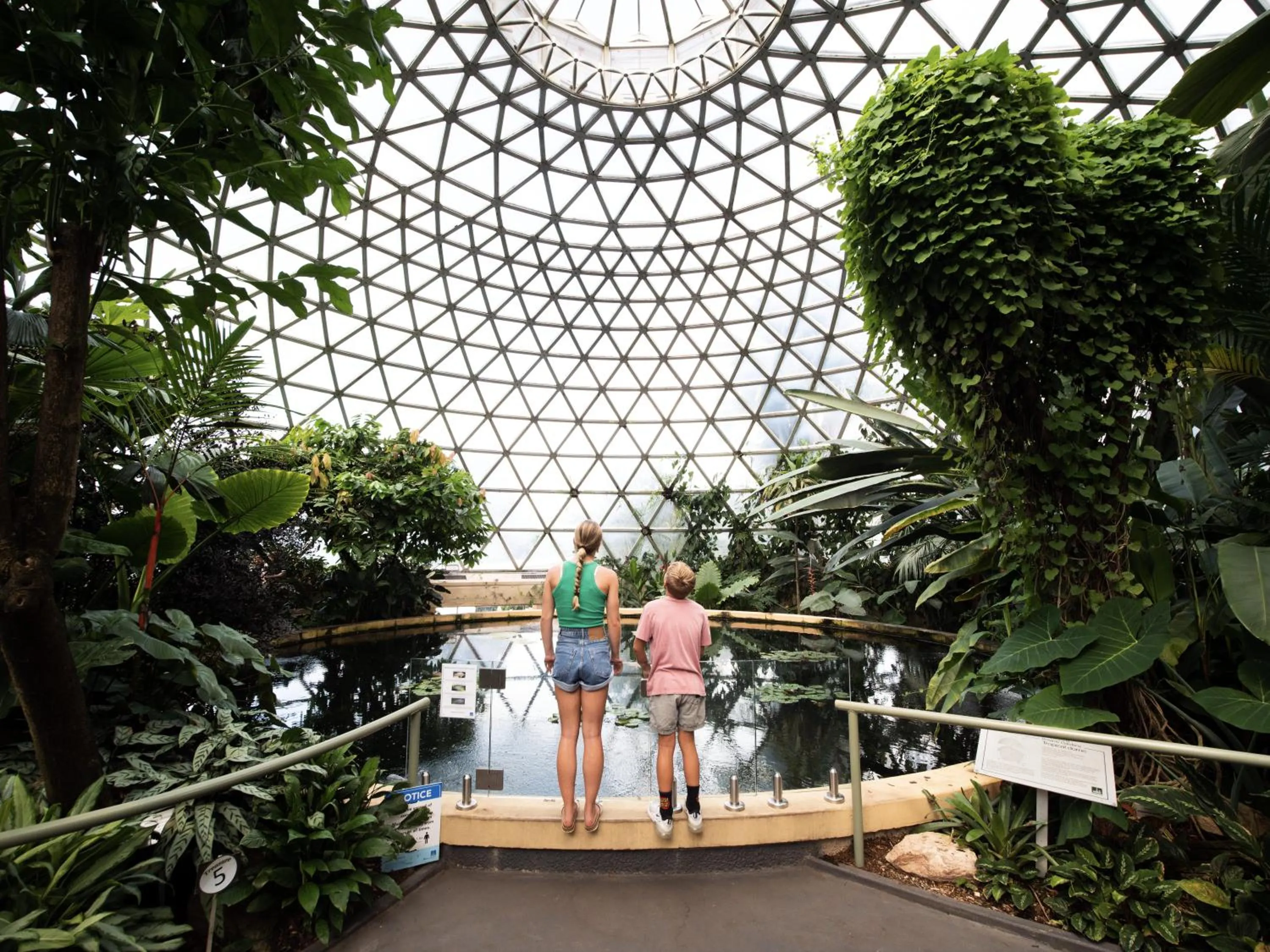 Area and facilities in Cosmo Apartment Hotel