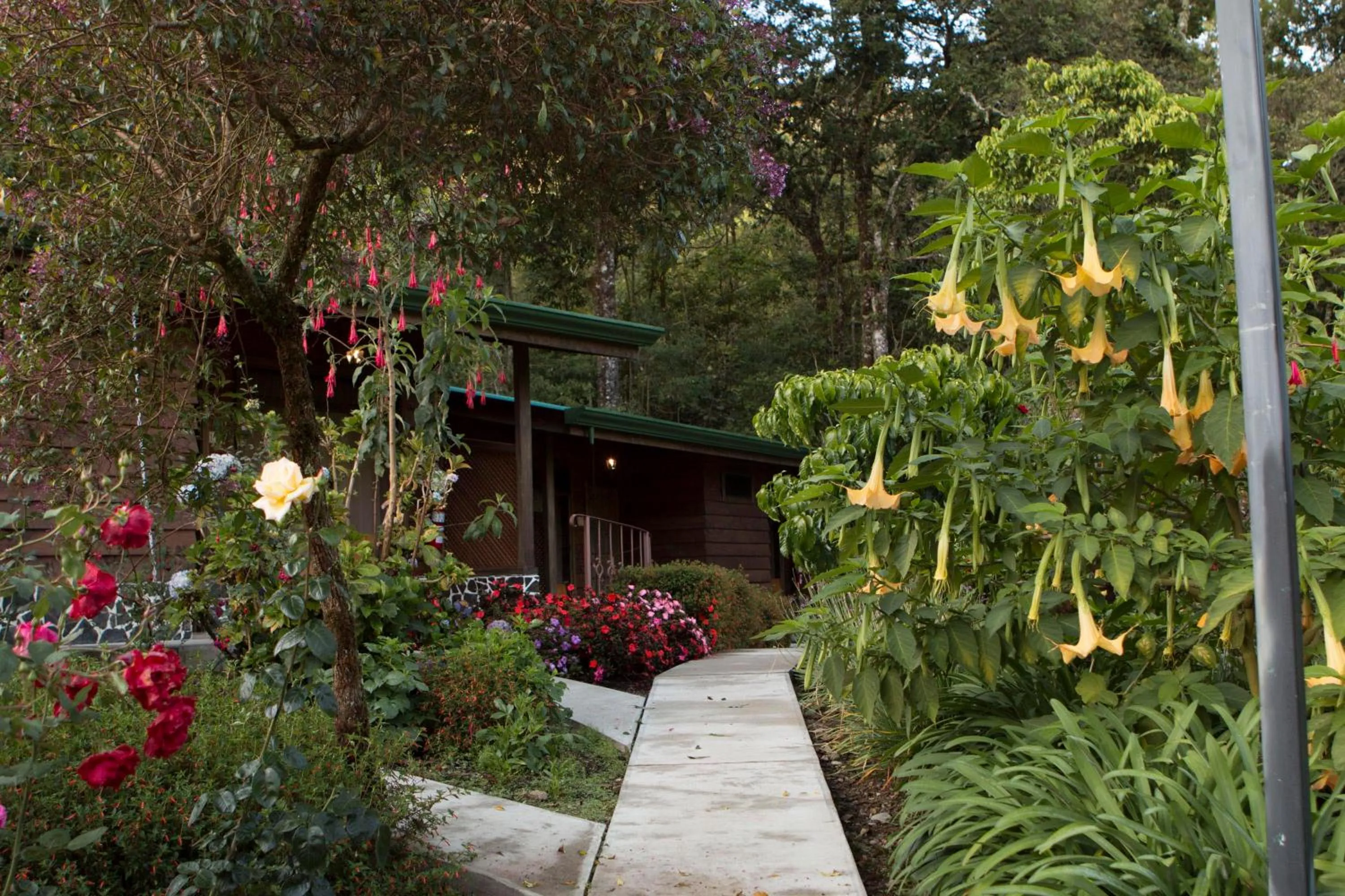 Garden in Savegre Hotel Natural Reserve & Spa