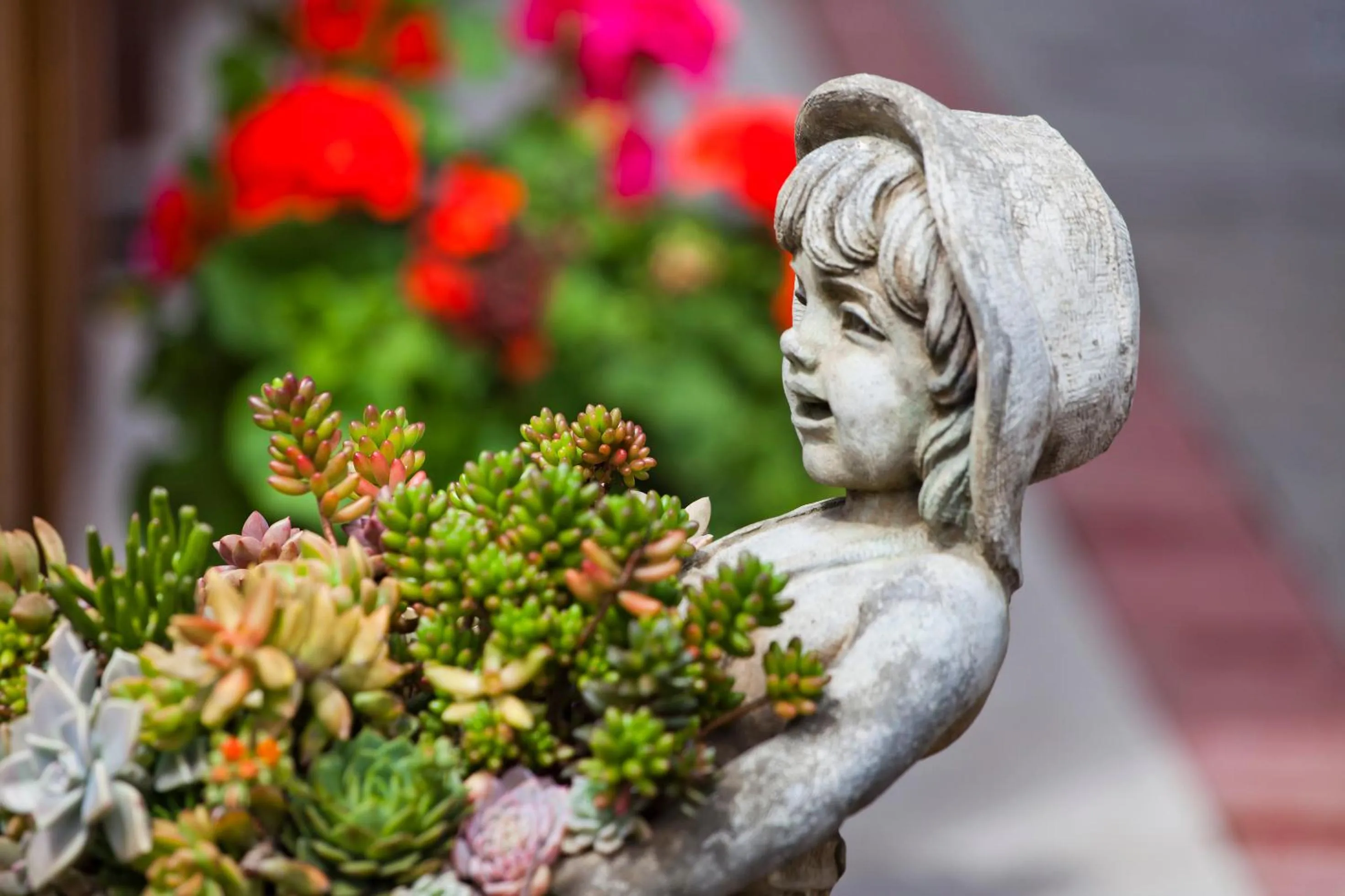 Garden in Savegre Hotel Natural Reserve & Spa