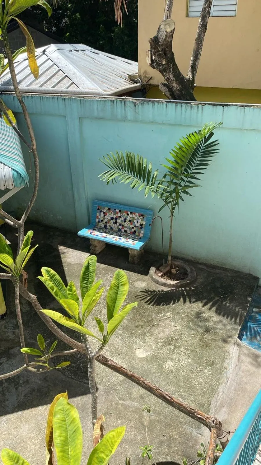 Garden in Casa Azul - Apartment