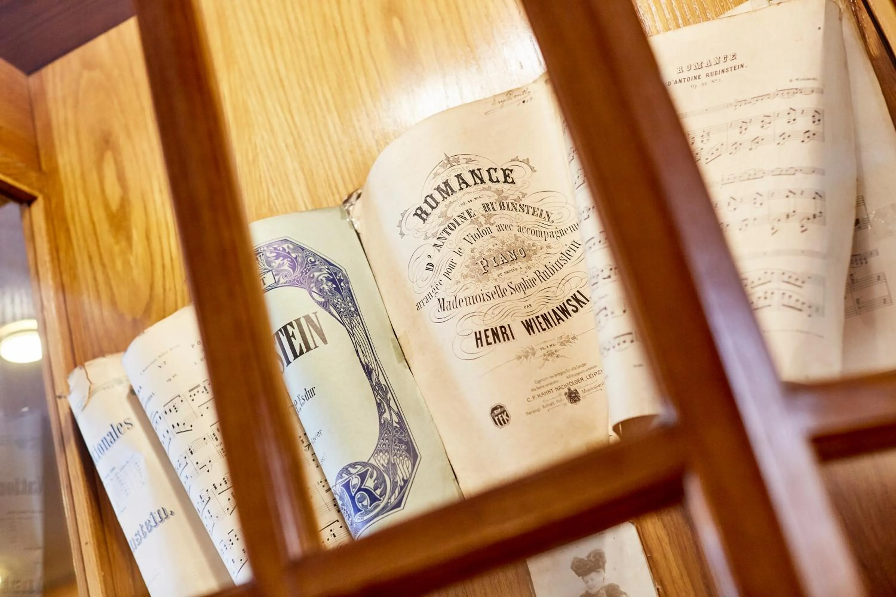 Decorative detail in Pollera