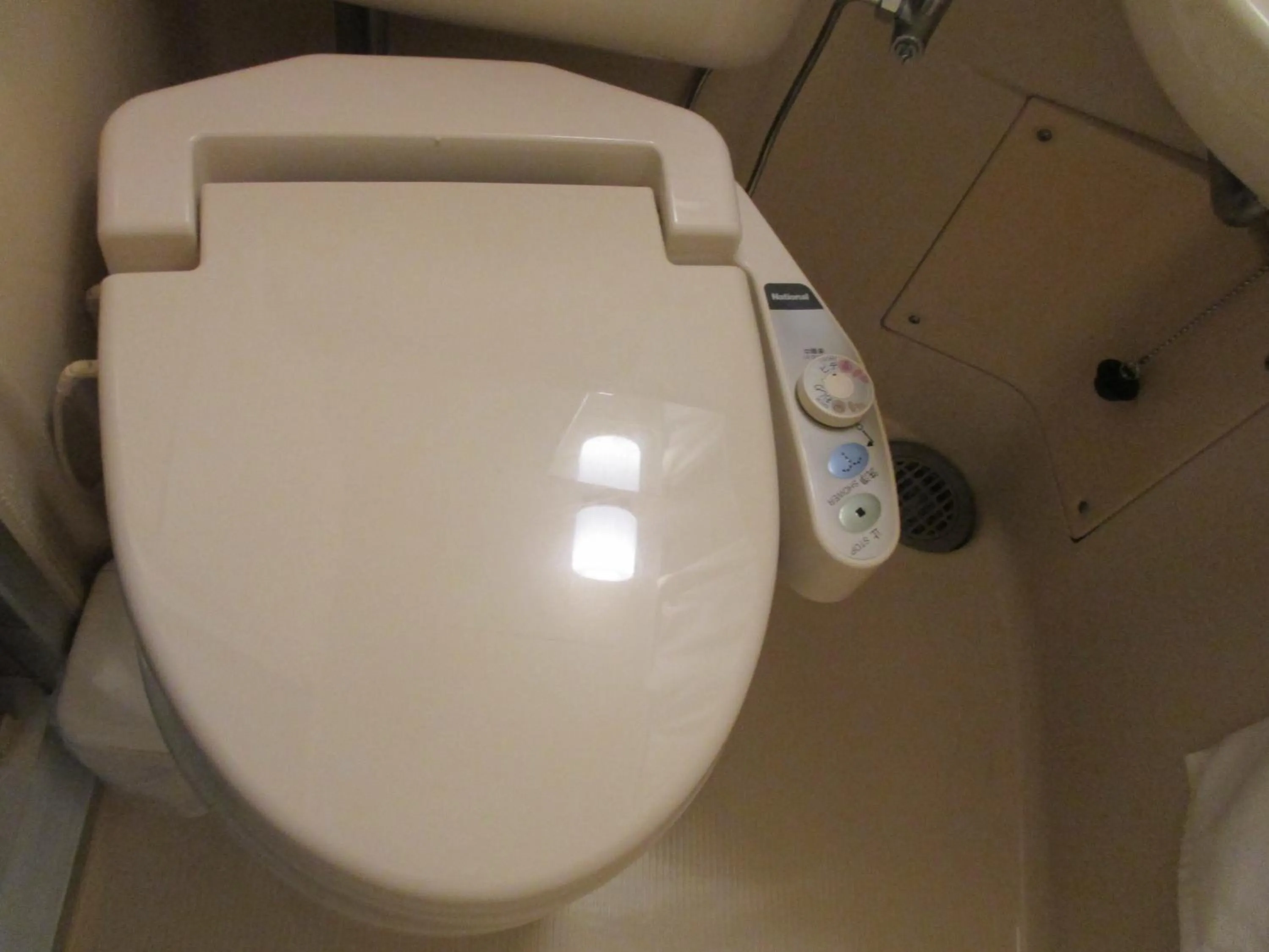 Toilet in Hotel Green Well