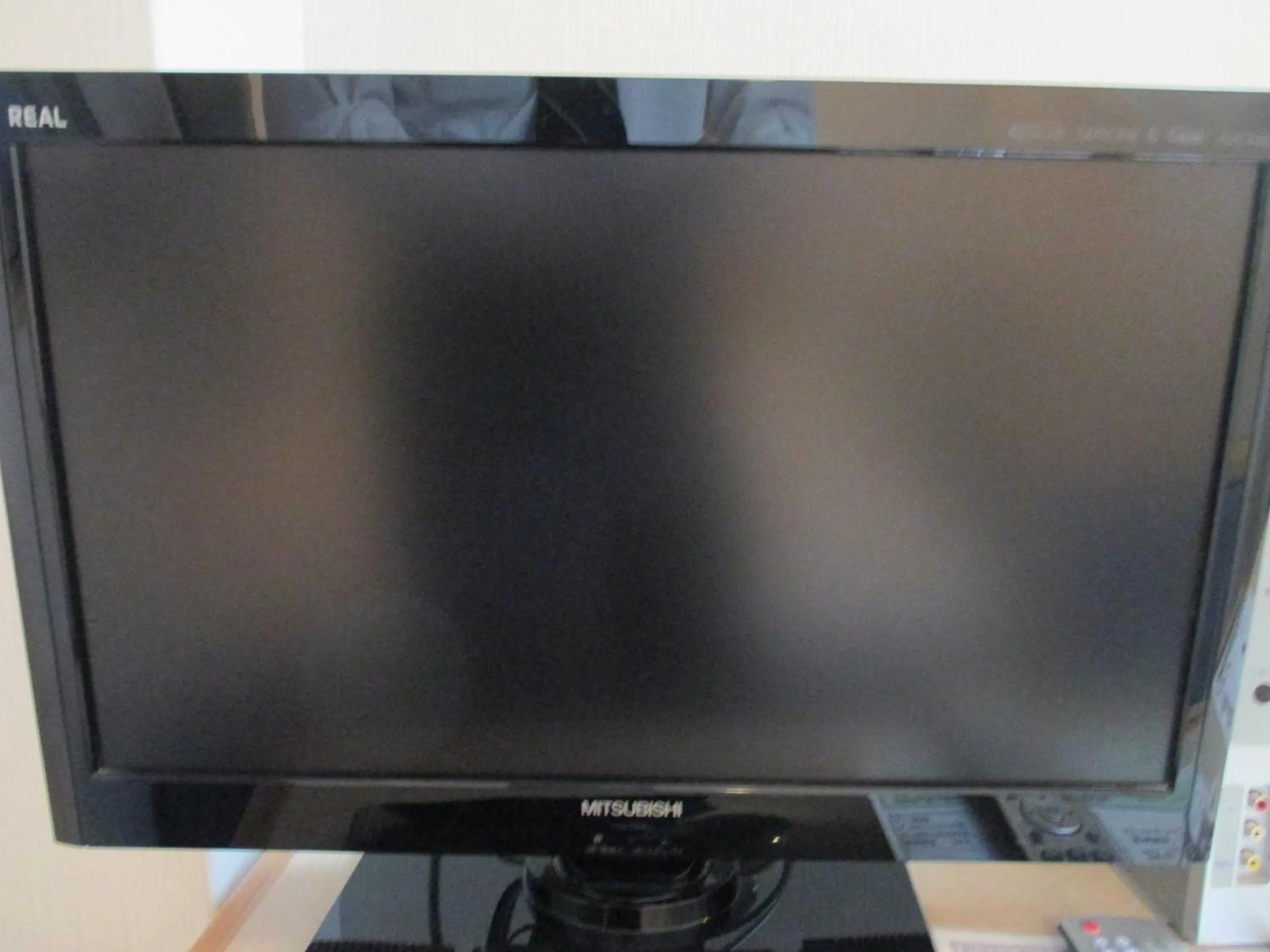 TV and multimedia in Hotel Green Well