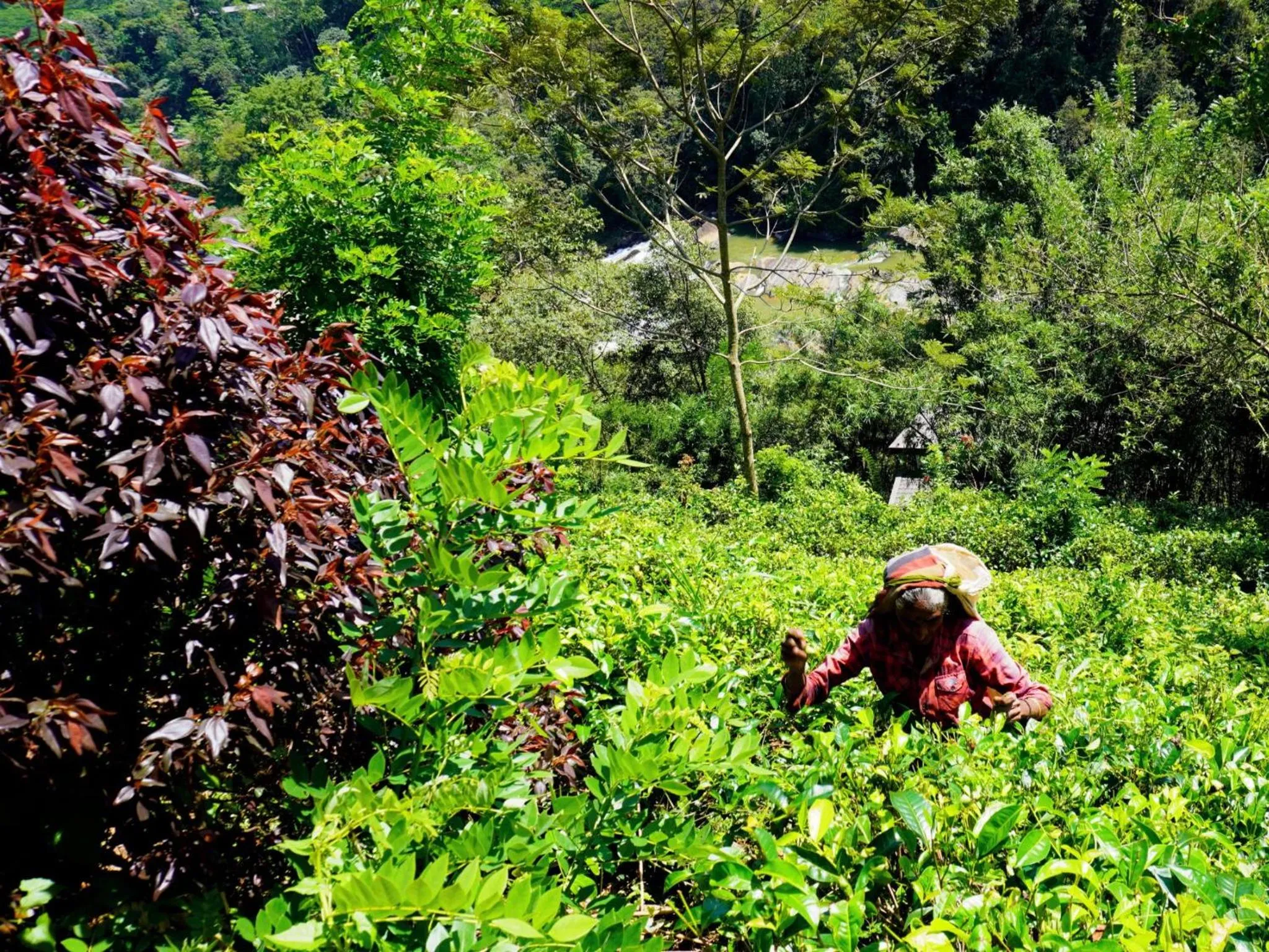 Activities in Aqua Dunhinda Villa