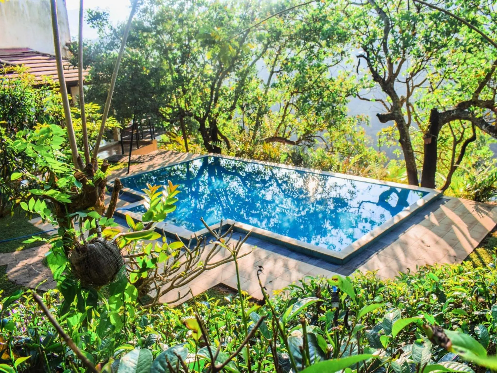 Swimming pool in Aqua Dunhinda Villa