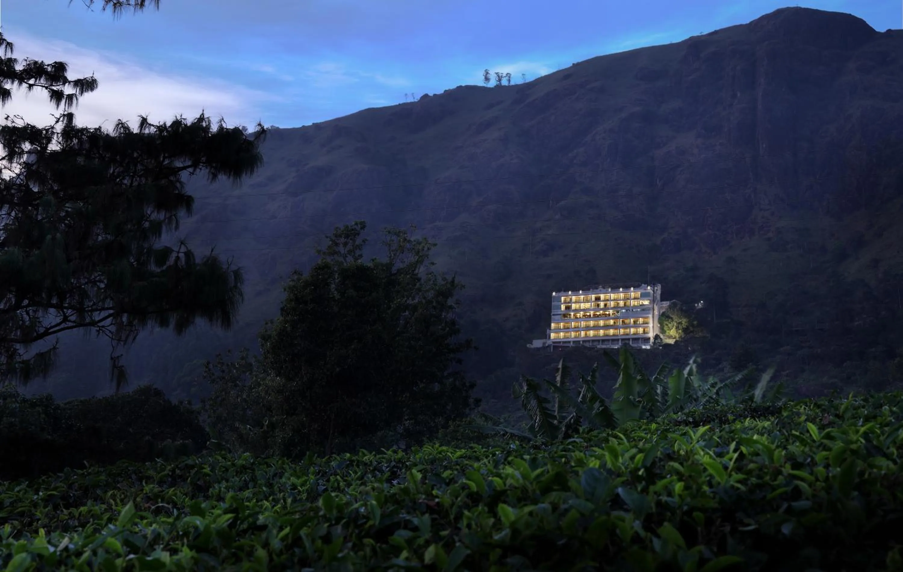 Bird's eye view in Amber Dale Luxury Hotel & Spa, Munnar