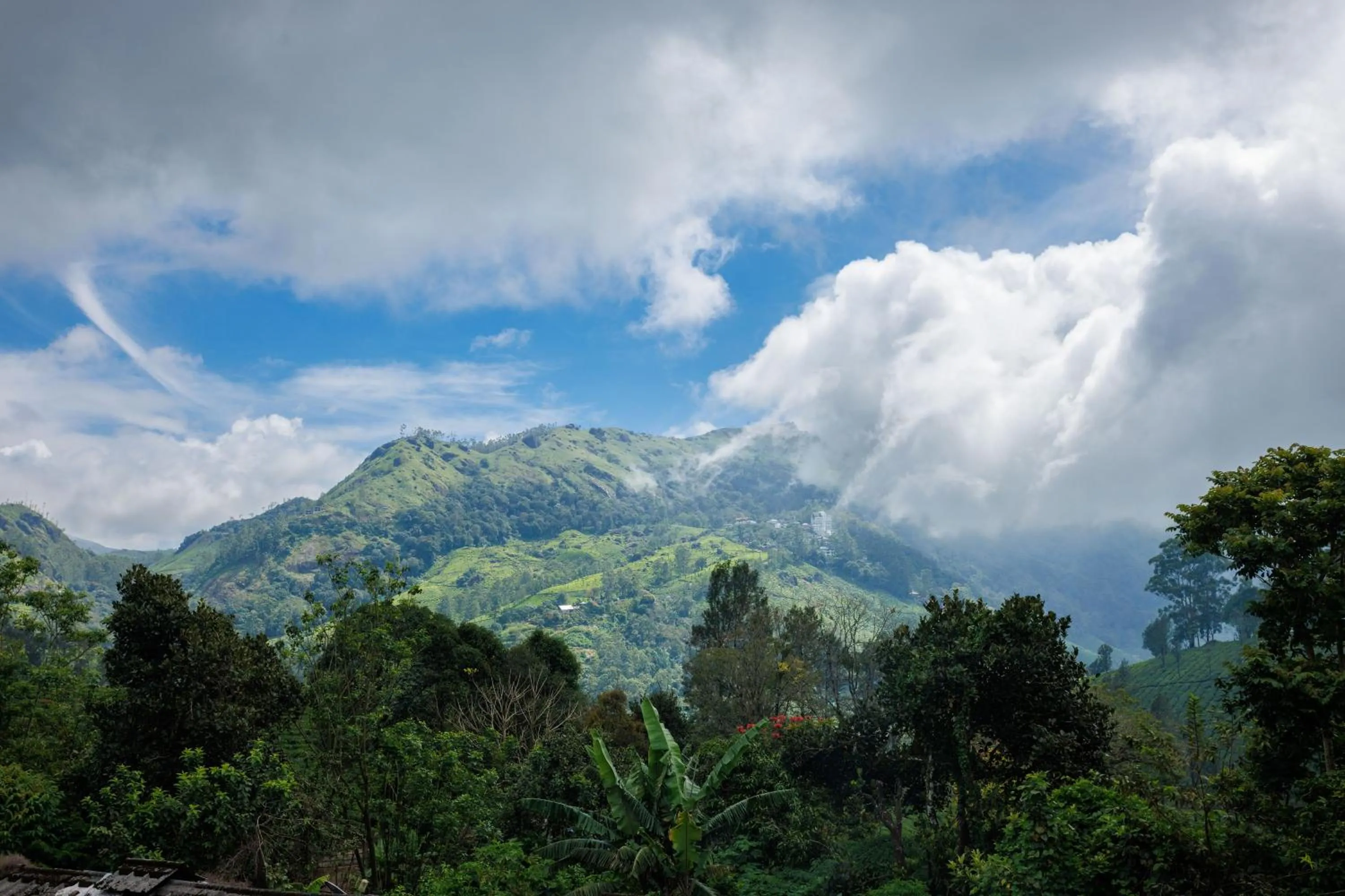 Other in Amber Dale Luxury Hotel & Spa, Munnar