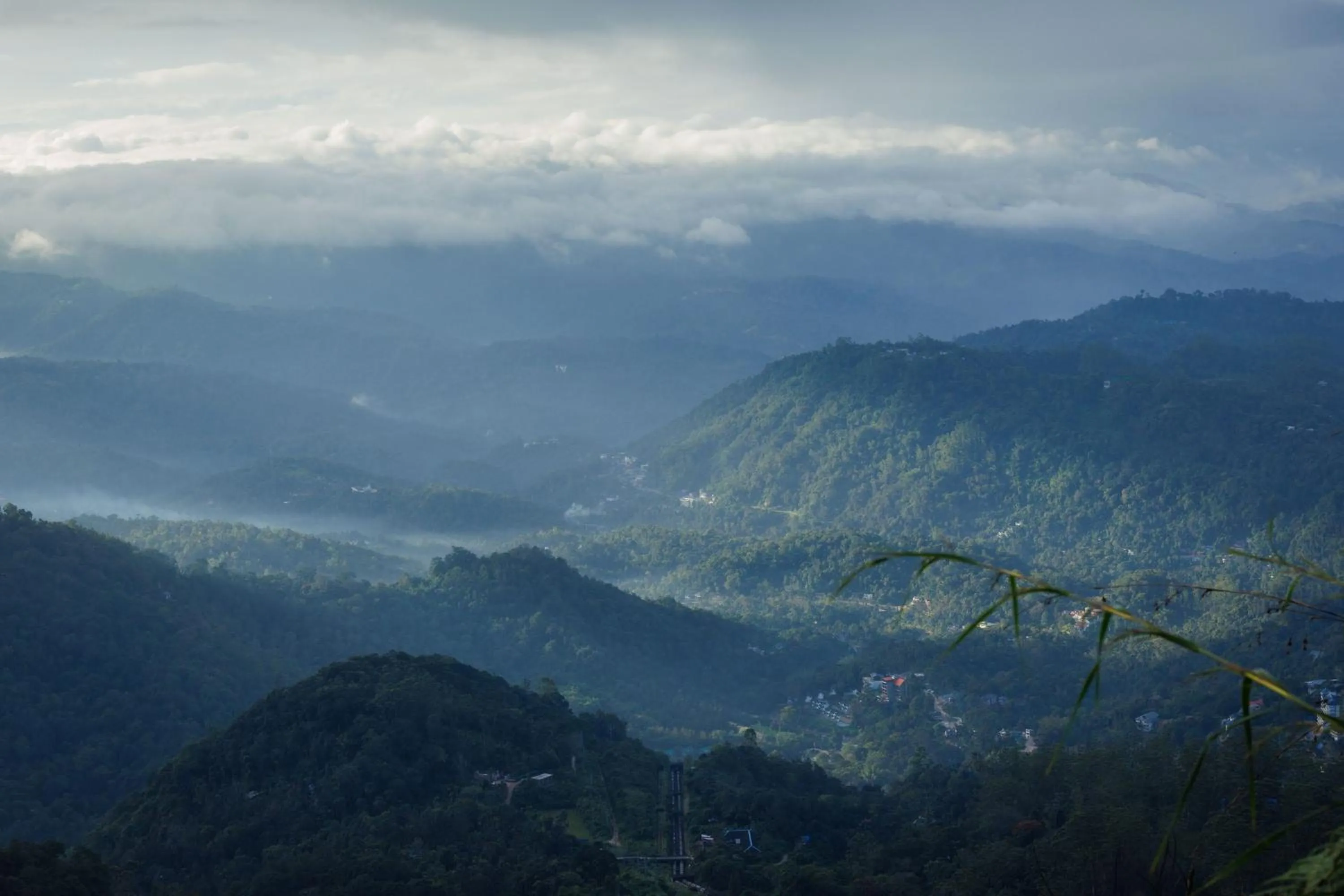 View (from property/room) in Amber Dale Luxury Hotel & Spa, Munnar