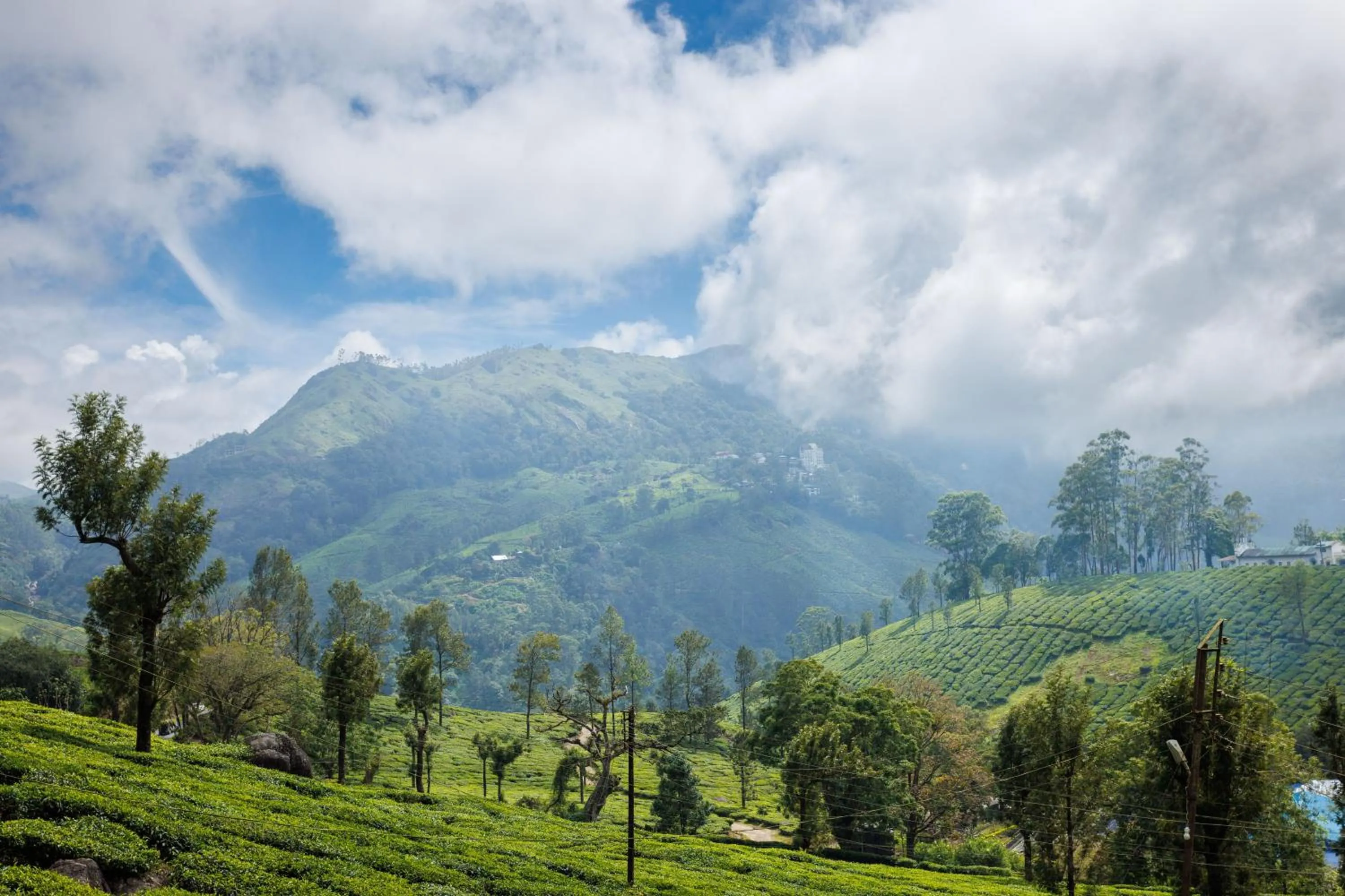 View (from property/room) in Amber Dale Luxury Hotel & Spa, Munnar